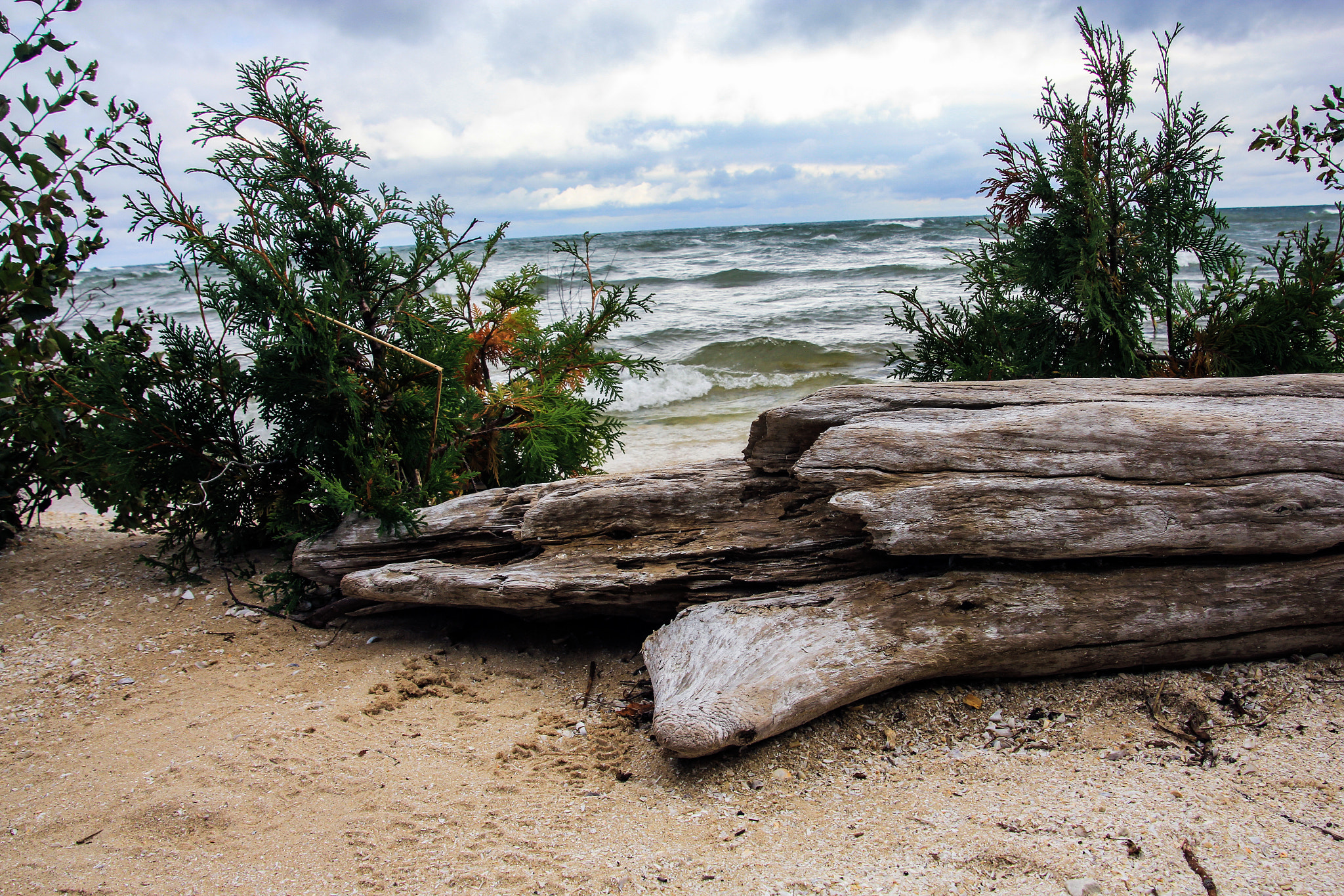 Canon EOS 550D (EOS Rebel T2i / EOS Kiss X4) sample photo. Shores of lake michigan photography