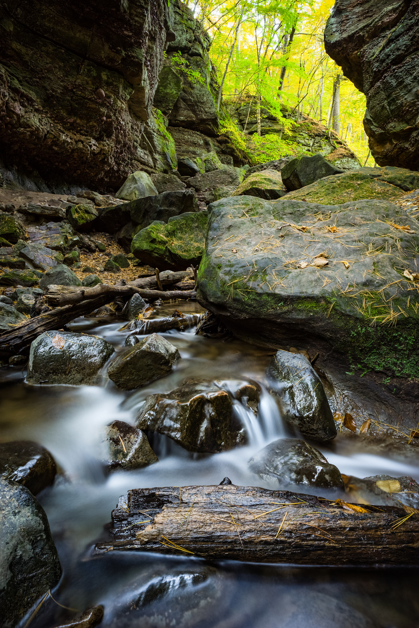 Sony a7R + E 21mm F2.8 sample photo. Parfreys glen photography