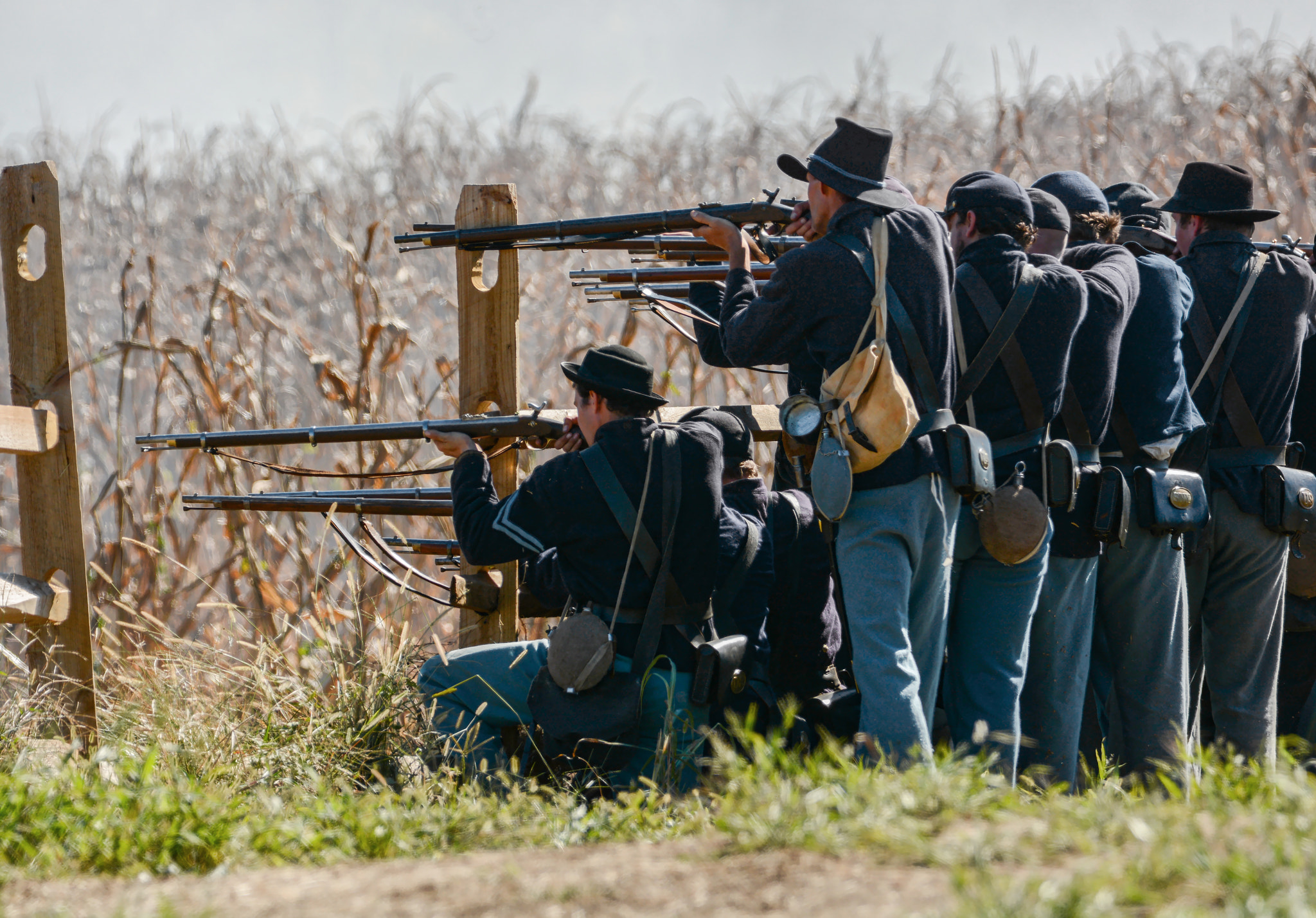 Nikon D7100 + Sigma 50mm F2.8 EX DG Macro sample photo. Perryville battlefield photography