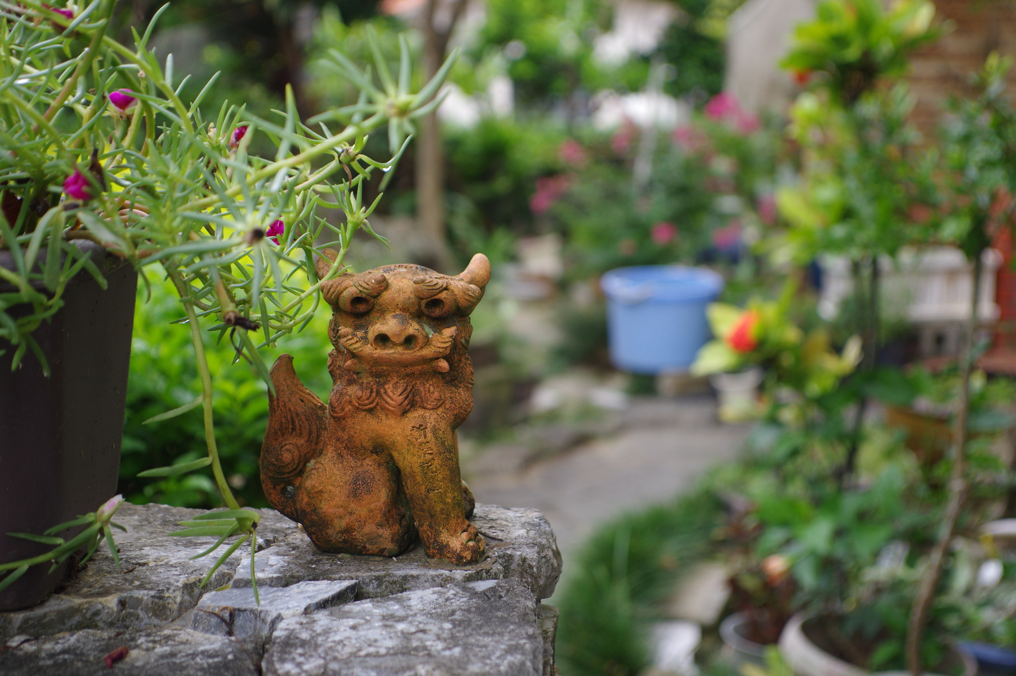 Pentax smc DA 16-45mm F4 ED AL sample photo. Shisa photography