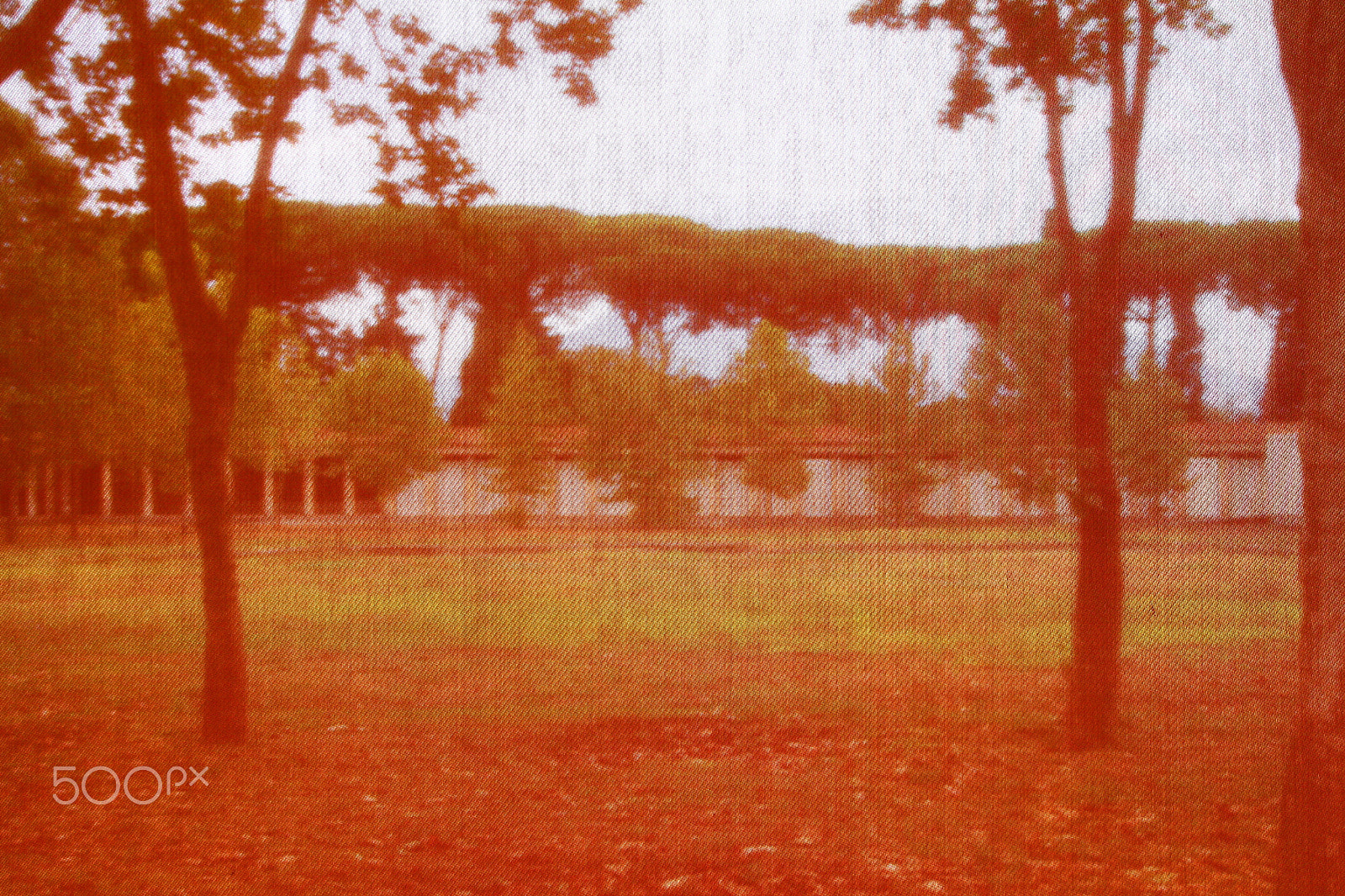 Canon EOS 650D (EOS Rebel T4i / EOS Kiss X6i) sample photo. Pompeian red photography