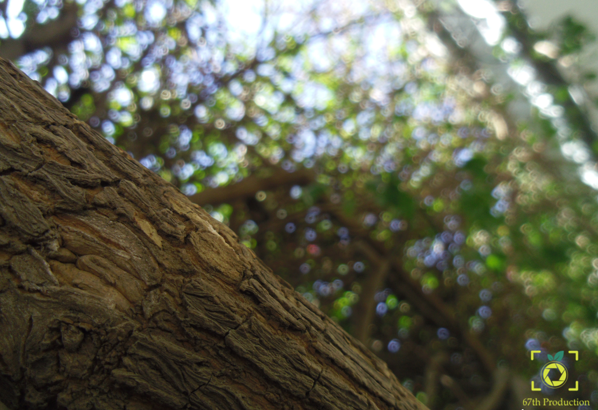 Pentax OPTIO LS465 sample photo. Bokehkillers photography