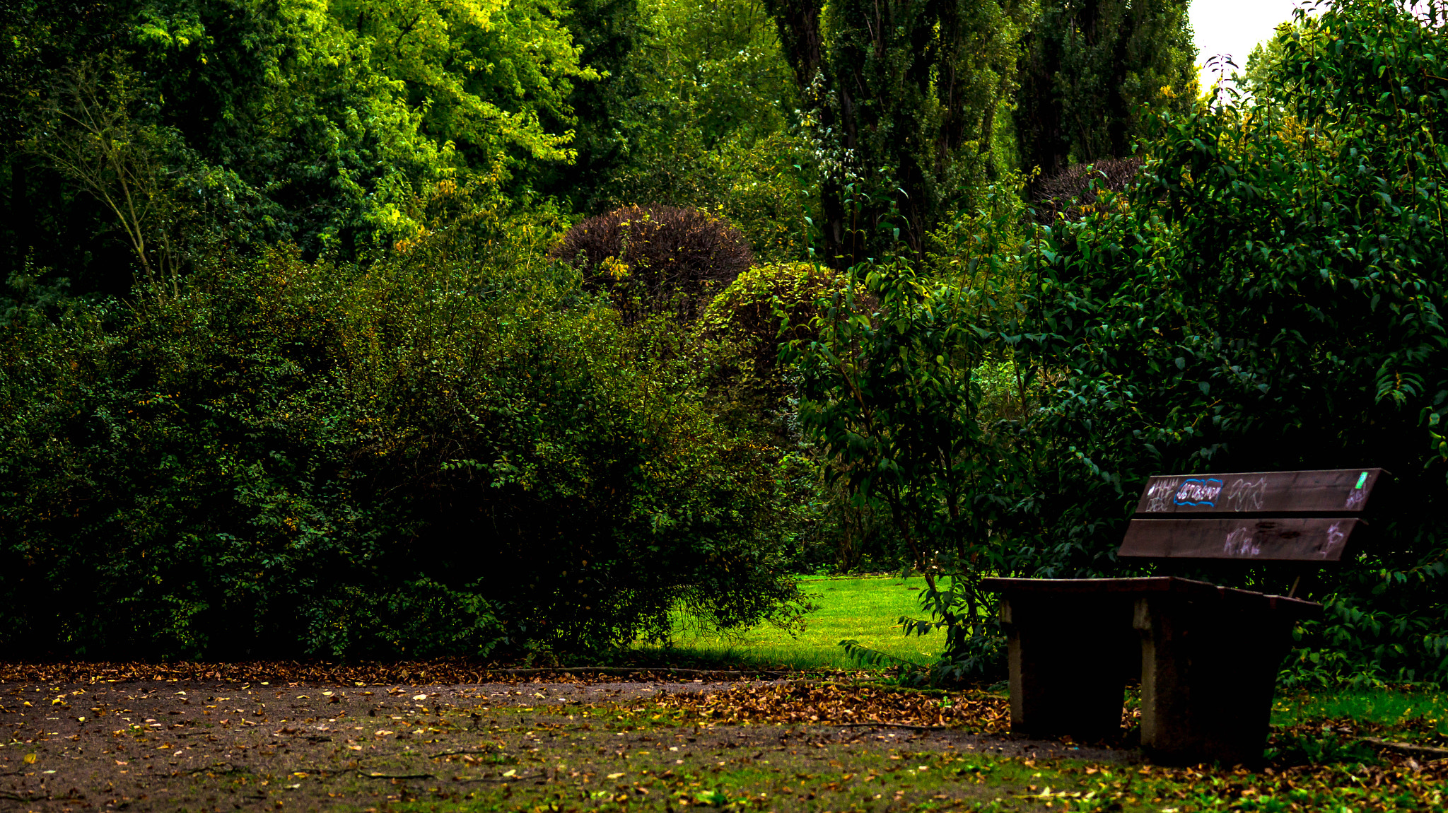 Tamron SP 70-300mm F4-5.6 Di USD sample photo. Park bench photography
