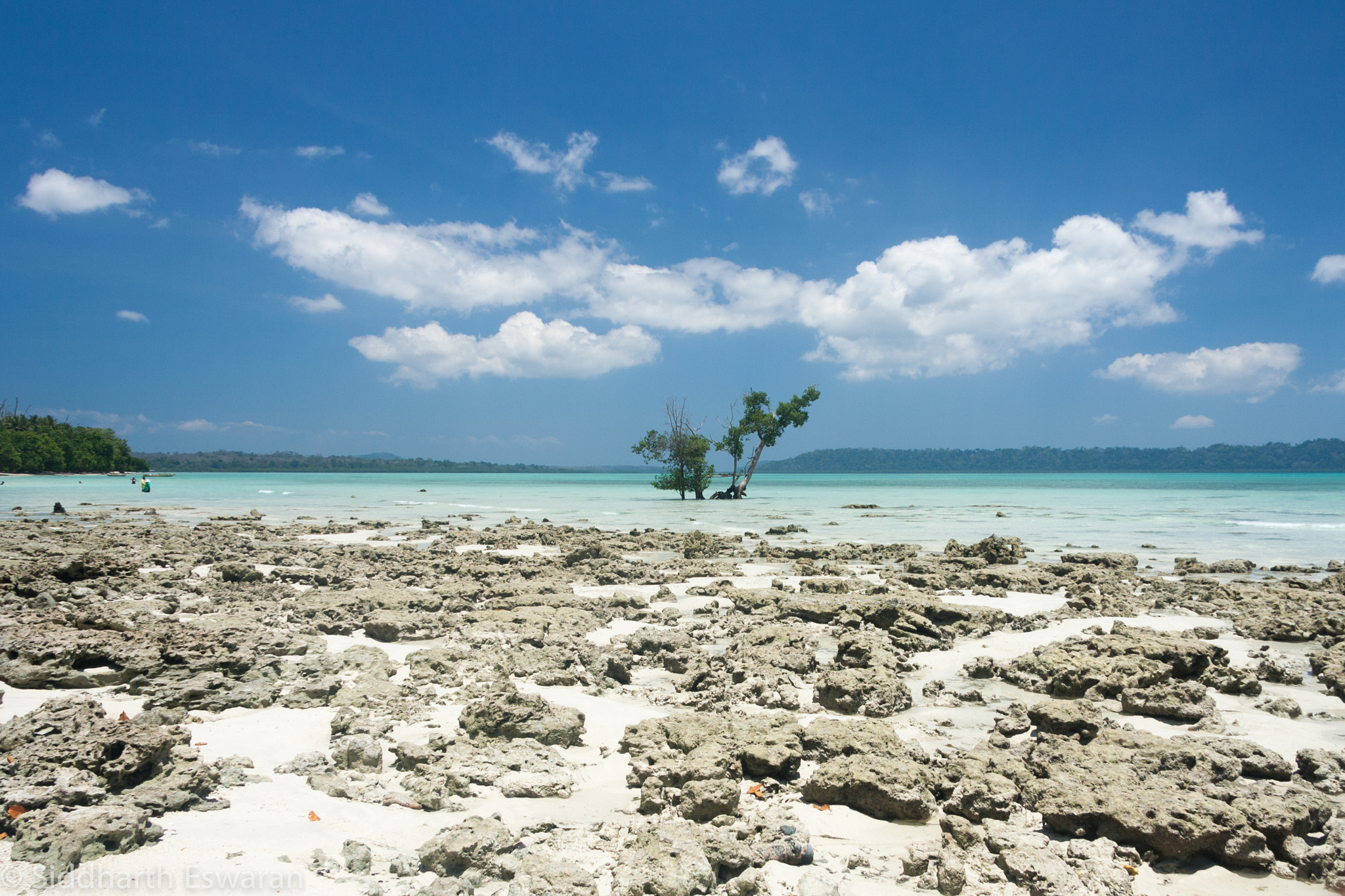 Canon EF-S 17-85mm F4-5.6 IS USM sample photo. Low tide on havelock island photography