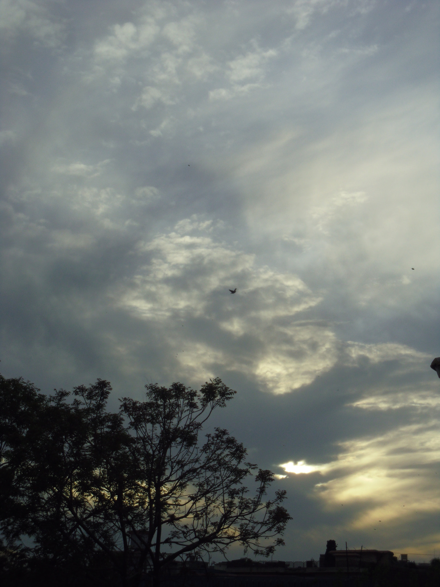 Pentax OPTIO LS465 sample photo. Sundown photography