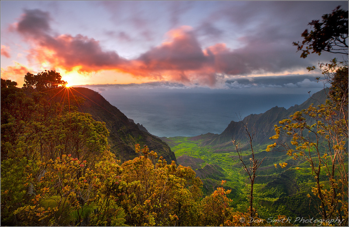 Canon EOS-1Ds Mark III sample photo. End of day, halalau valley, kauai photography
