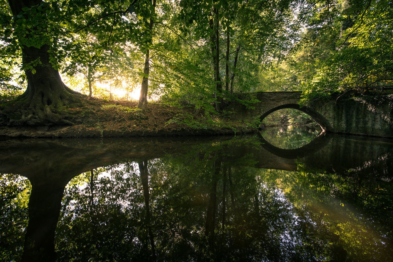 Sony a7R II + Canon EF 16-35mm F4L IS USM sample photo. The small bridge photography