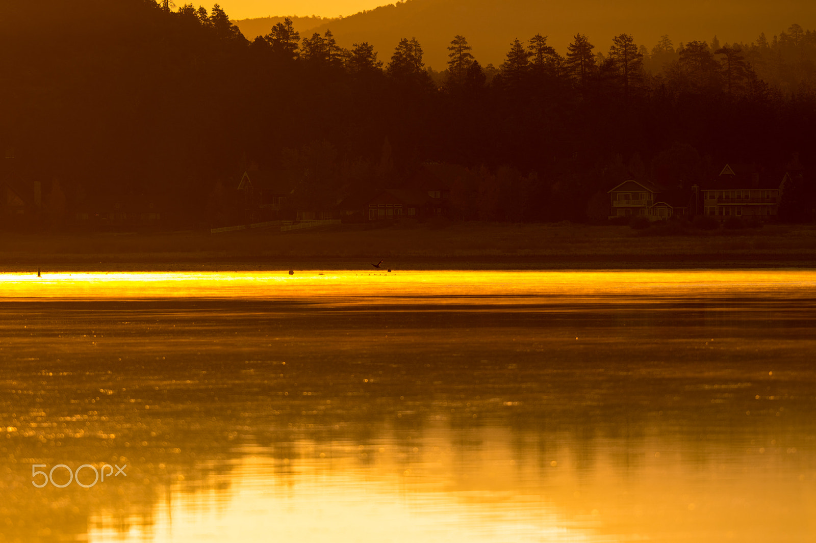 Nikon AF-S Nikkor 200mm F2G ED VR II sample photo. Golden hour photography