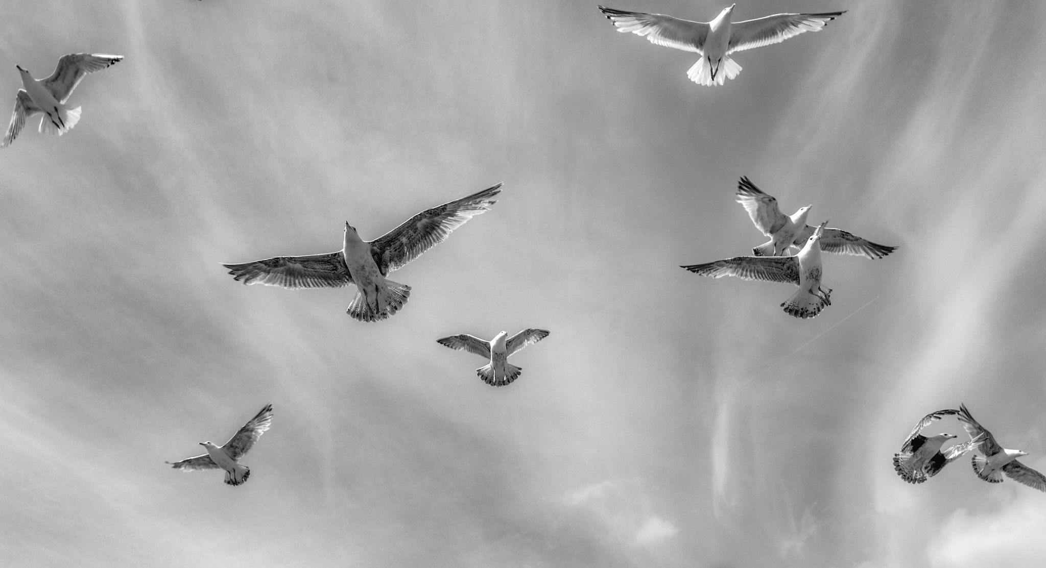 Sigma 10-20mm F3.5 EX DC HSM sample photo. Top... photography