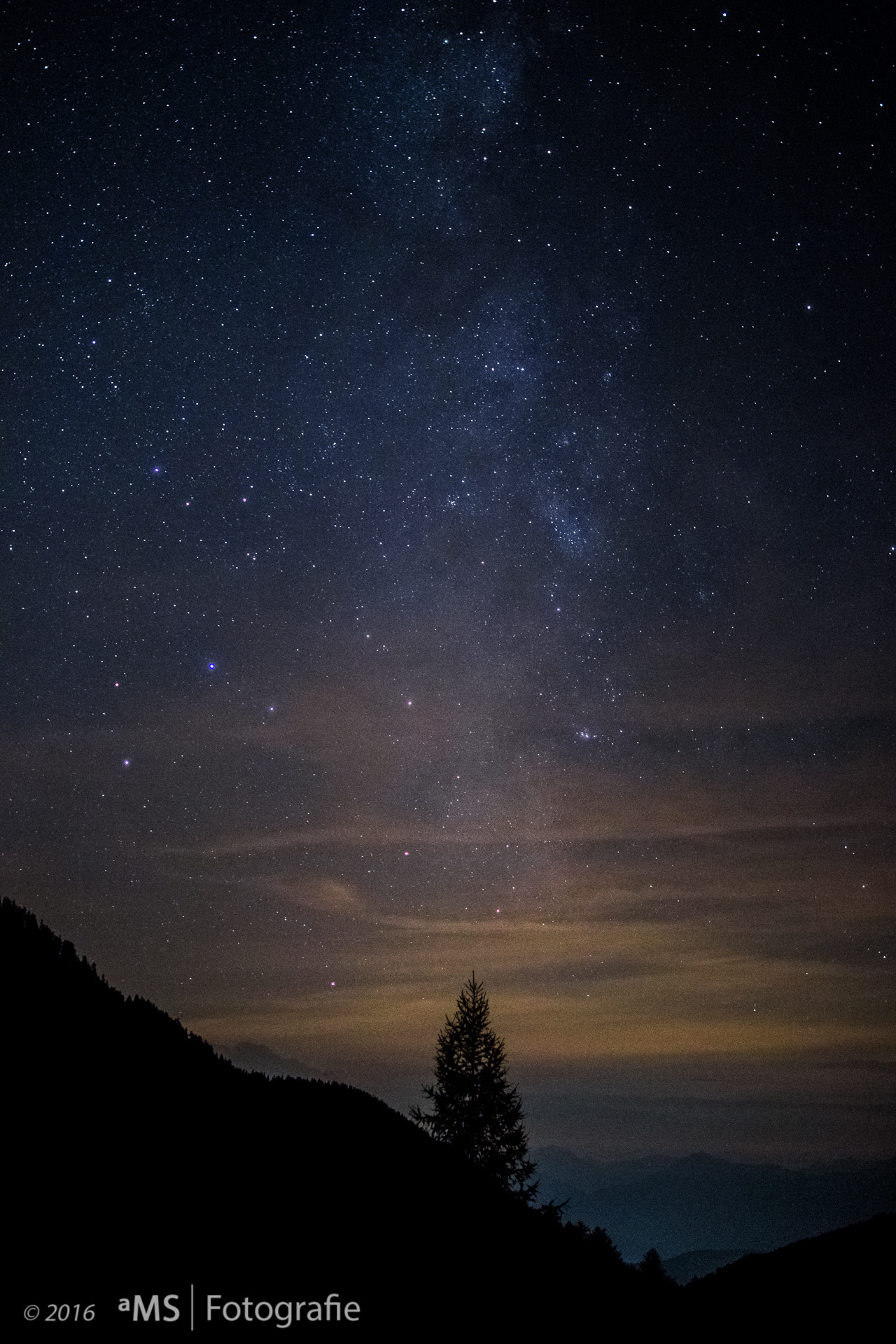 Sigma 30mm F1.4 EX DC HSM sample photo. Tree against the night sky photography