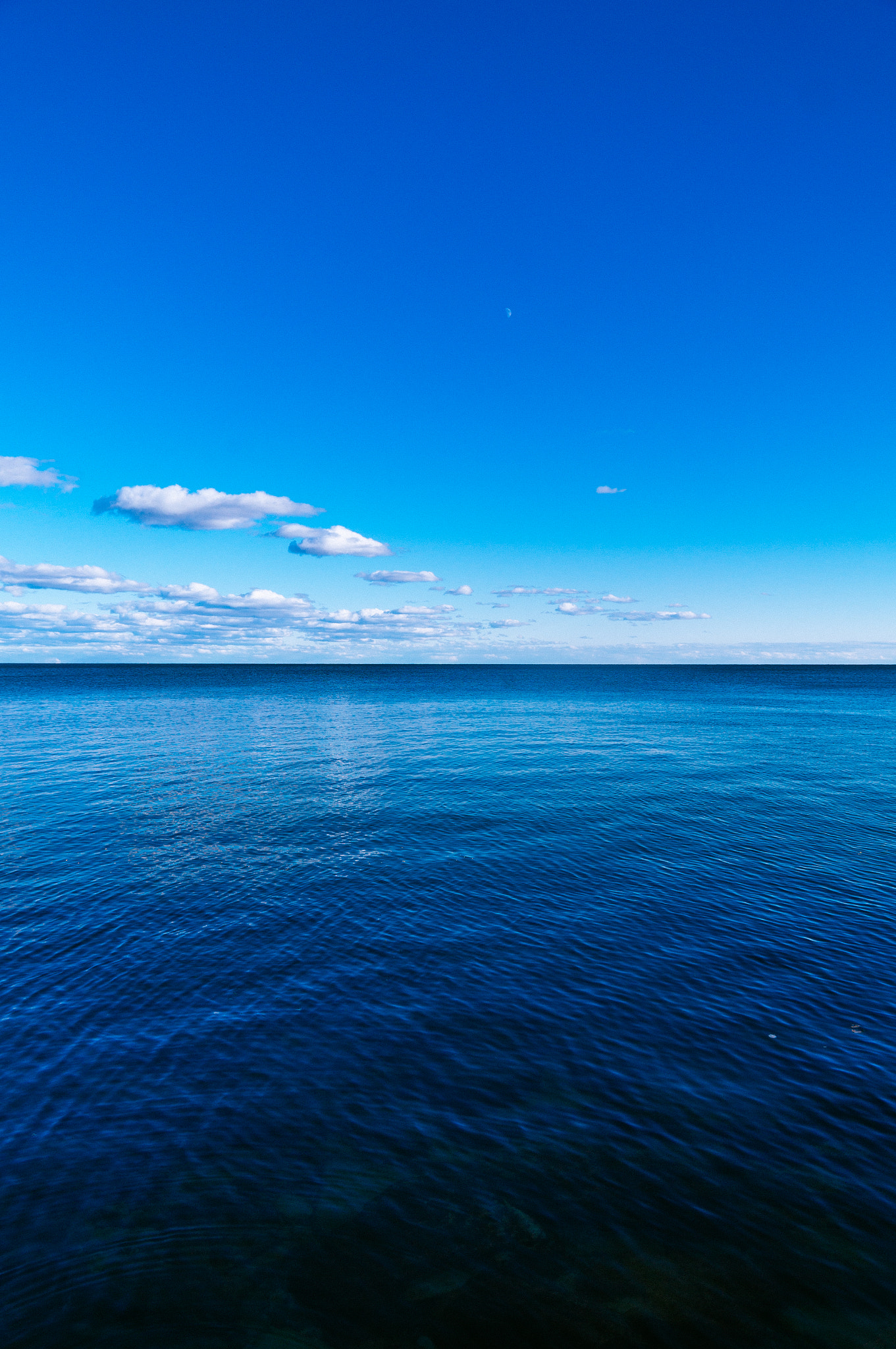 Sony E PZ 18-200mm F3.5-6.3 OSS sample photo. Sweet grass ontario - level 2 photography