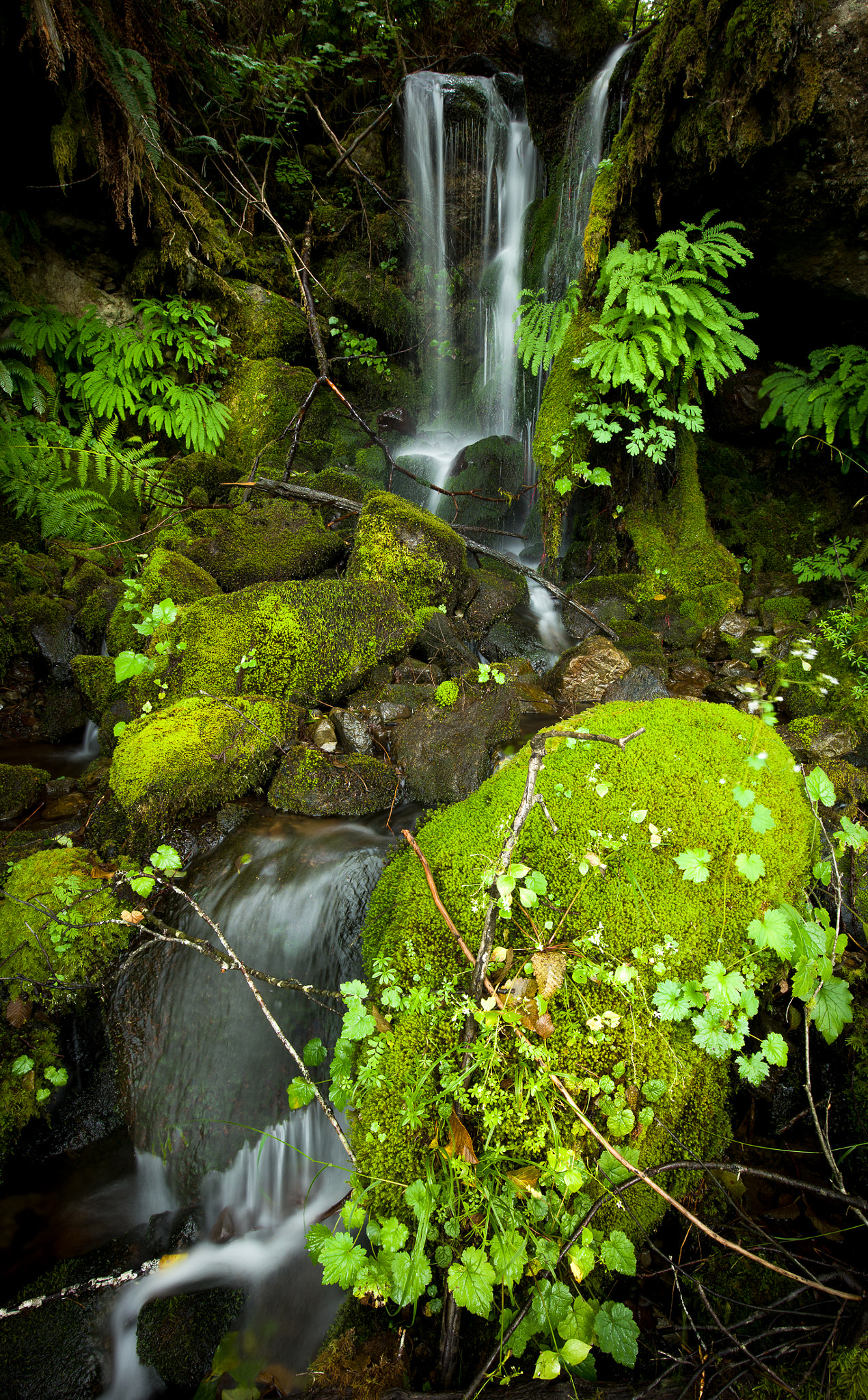 Canon EOS 5DS R + Canon EF 16-35mm F4L IS USM sample photo. Hidden falls photography