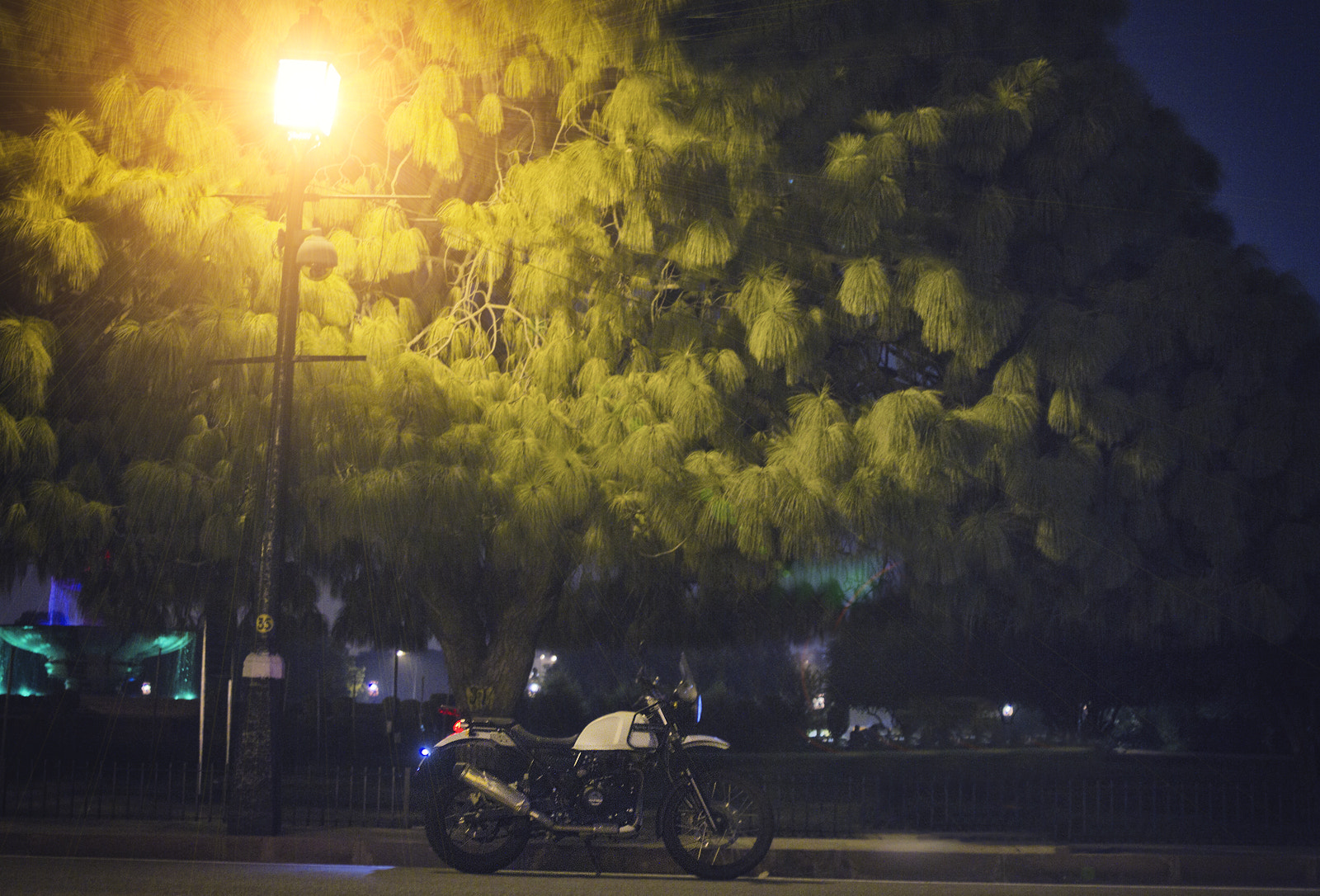Canon EOS 7D + Canon EF 35mm F2 sample photo. Late night shenanigans! photography