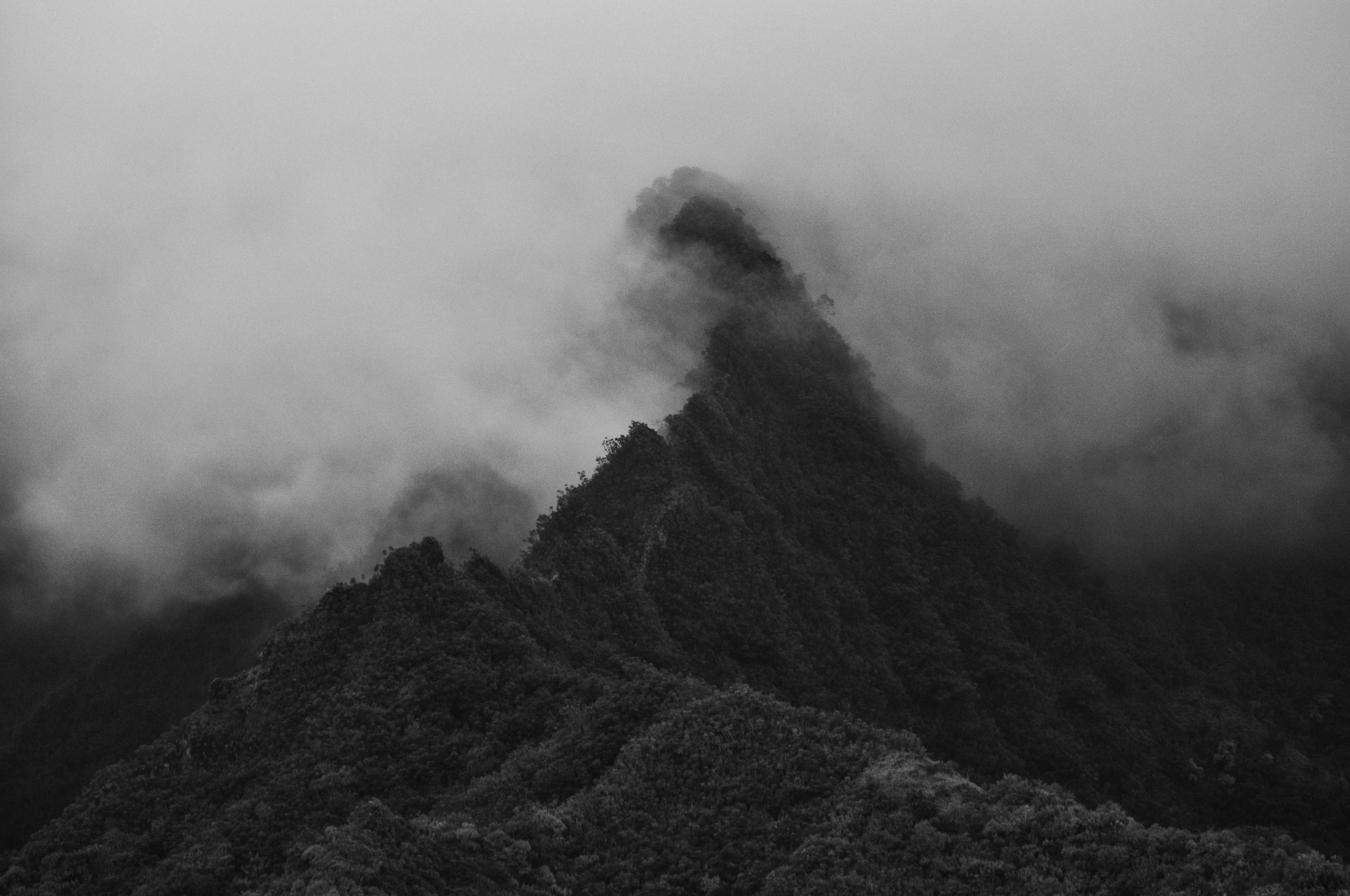 Nikon D5000 sample photo. Shark tooth ridge photography