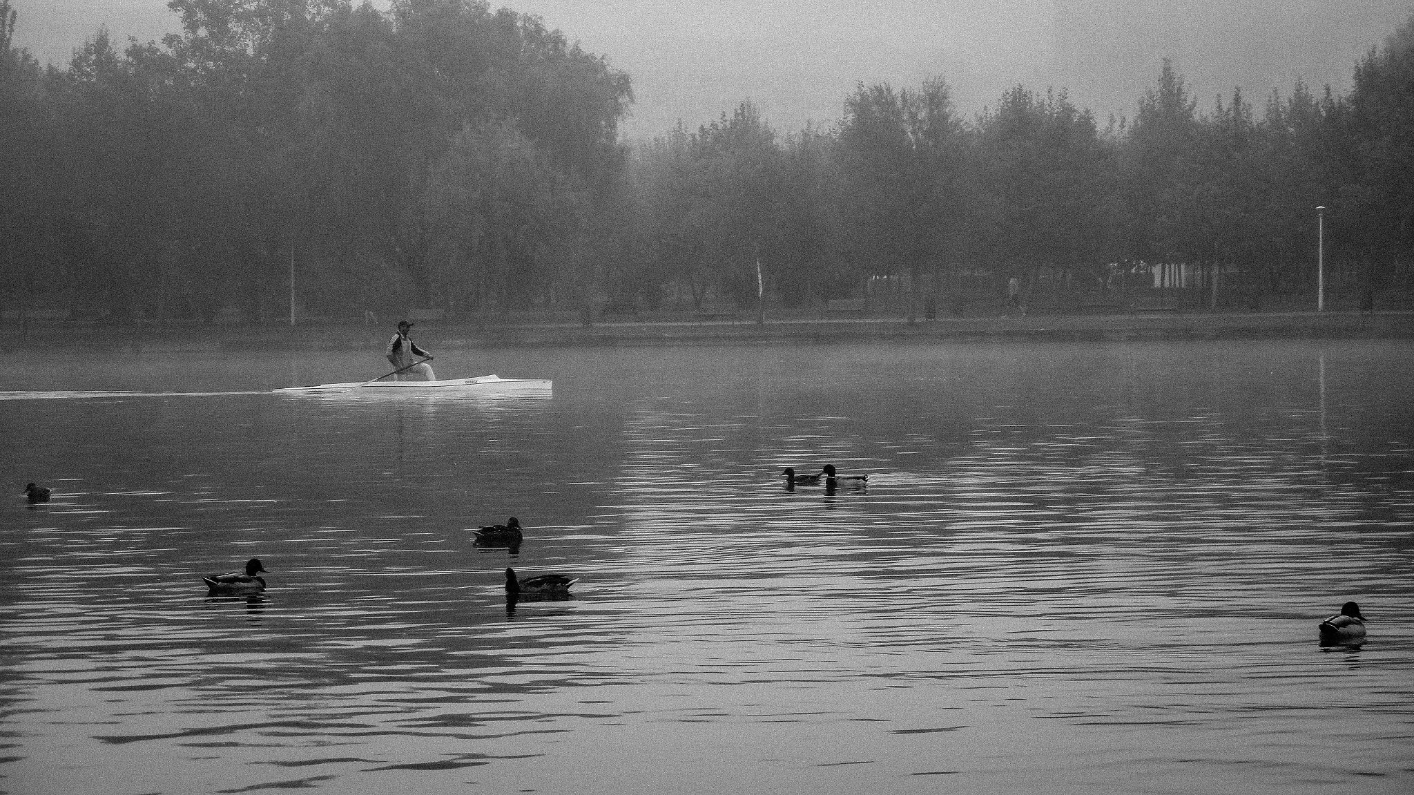 Canon IXUS 165 (IXY 160) sample photo. Canoe photography