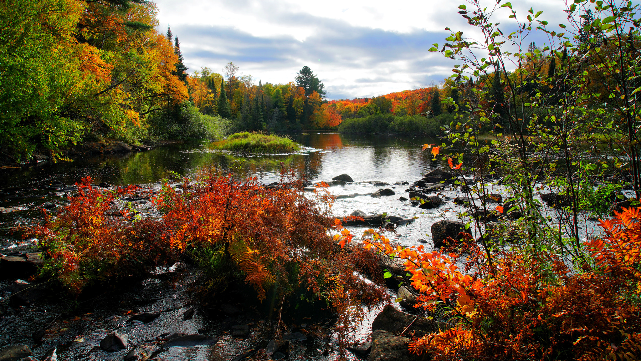 Sony a7 + Sony Vario Tessar T* FE 24-70mm F4 ZA OSS sample photo. Ragged falls - oxtongue river photography