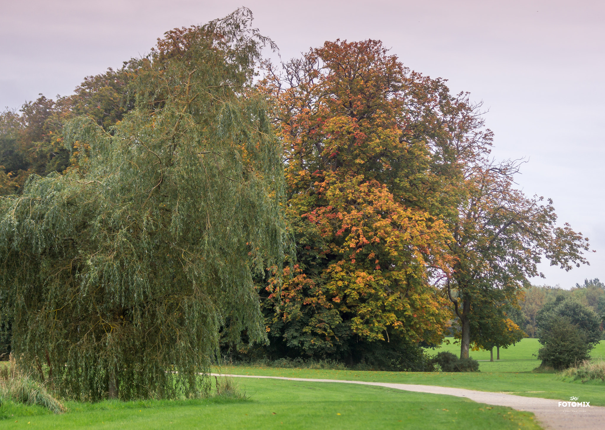 Sony SLT-A55 (SLT-A55V) + Sigma 70-300mm F4-5.6 DL Macro sample photo. Autumn is here photography