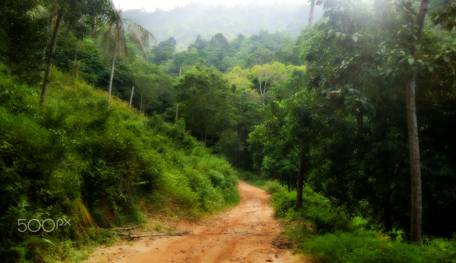CASIO EX-H15 sample photo. Magic road photography
