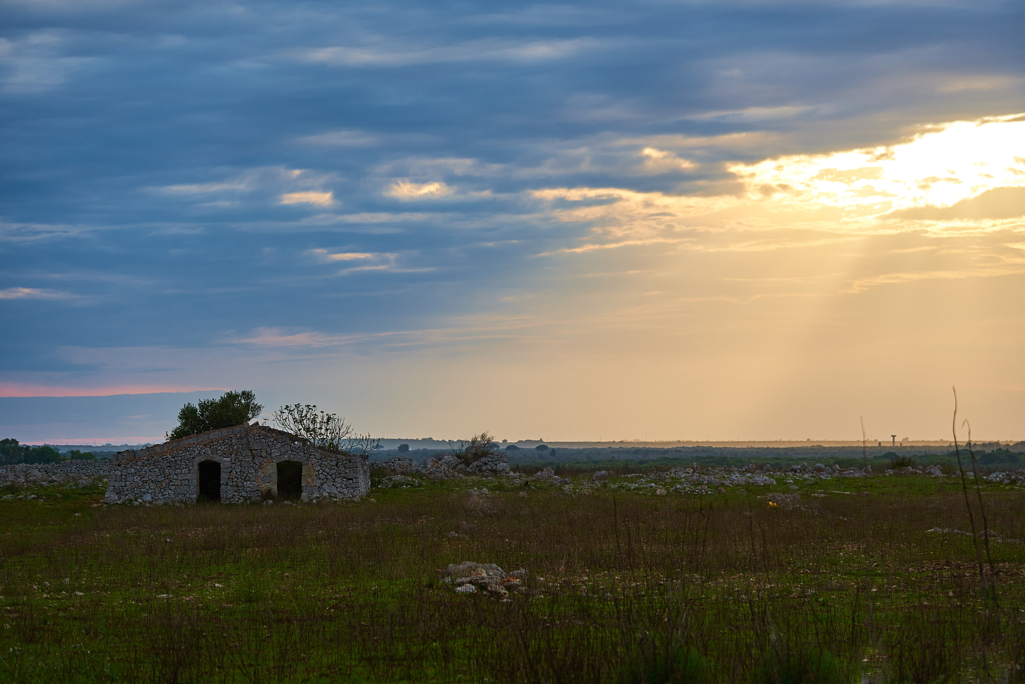 Nikon AF-S Nikkor 24-120mm F4G ED VR sample photo. Campagna salentina photography