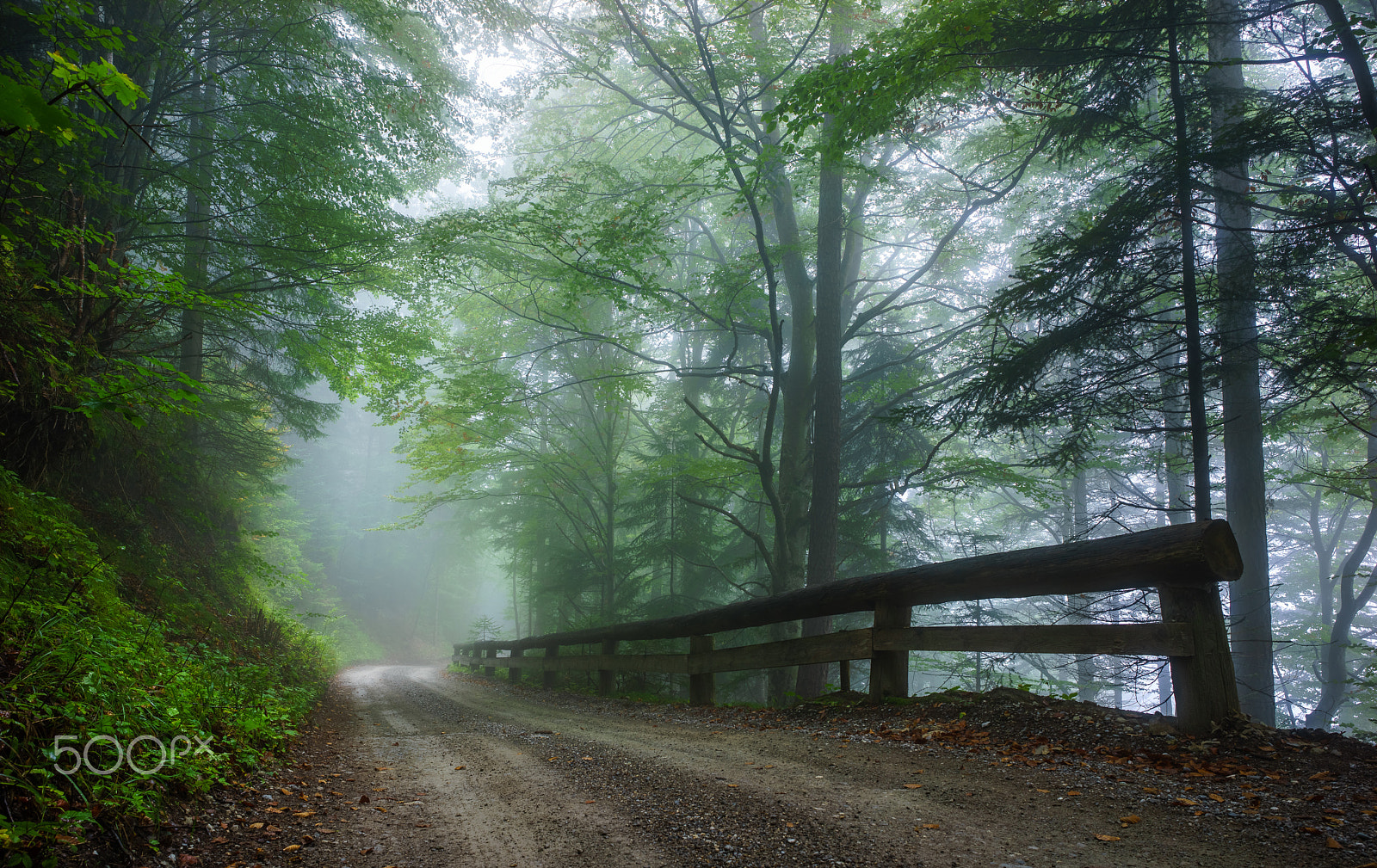 Sony a7R sample photo. Hochzirl forest road photography