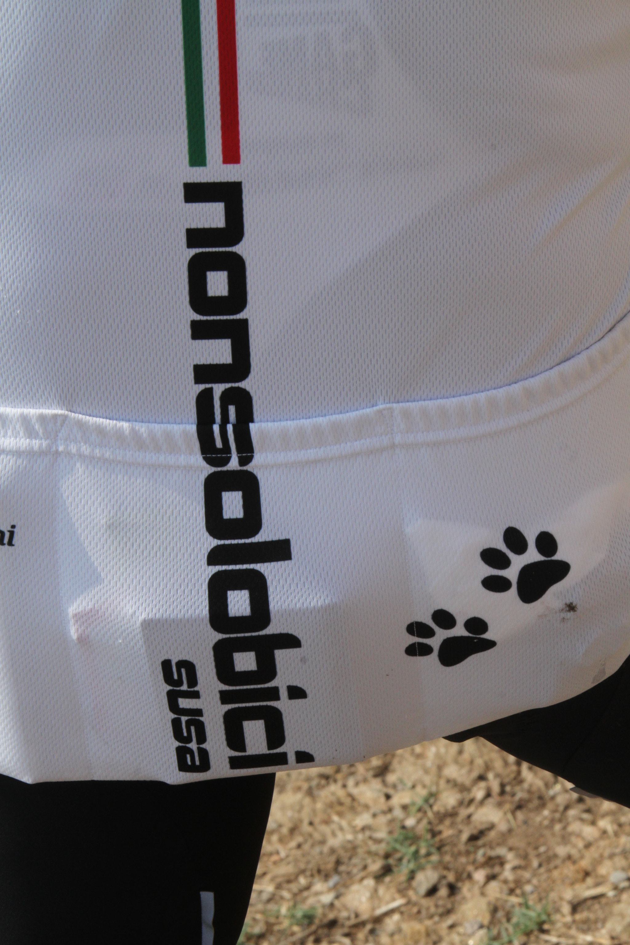 Canon EF 28-300mm F3.5-5.6L IS USM sample photo. Img photography