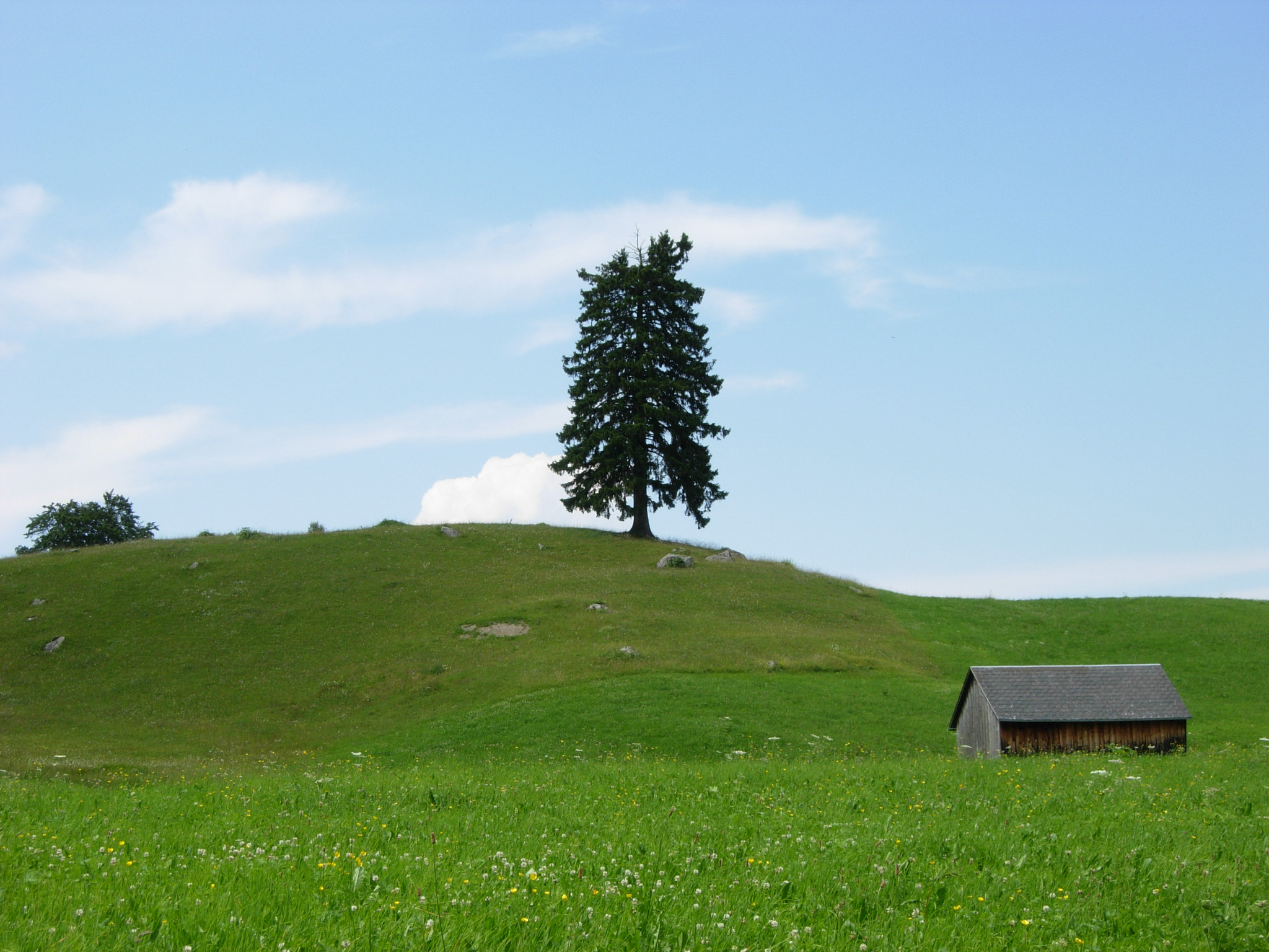 Nikon COOLPIX P4 sample photo. Near gurtis, austria photography