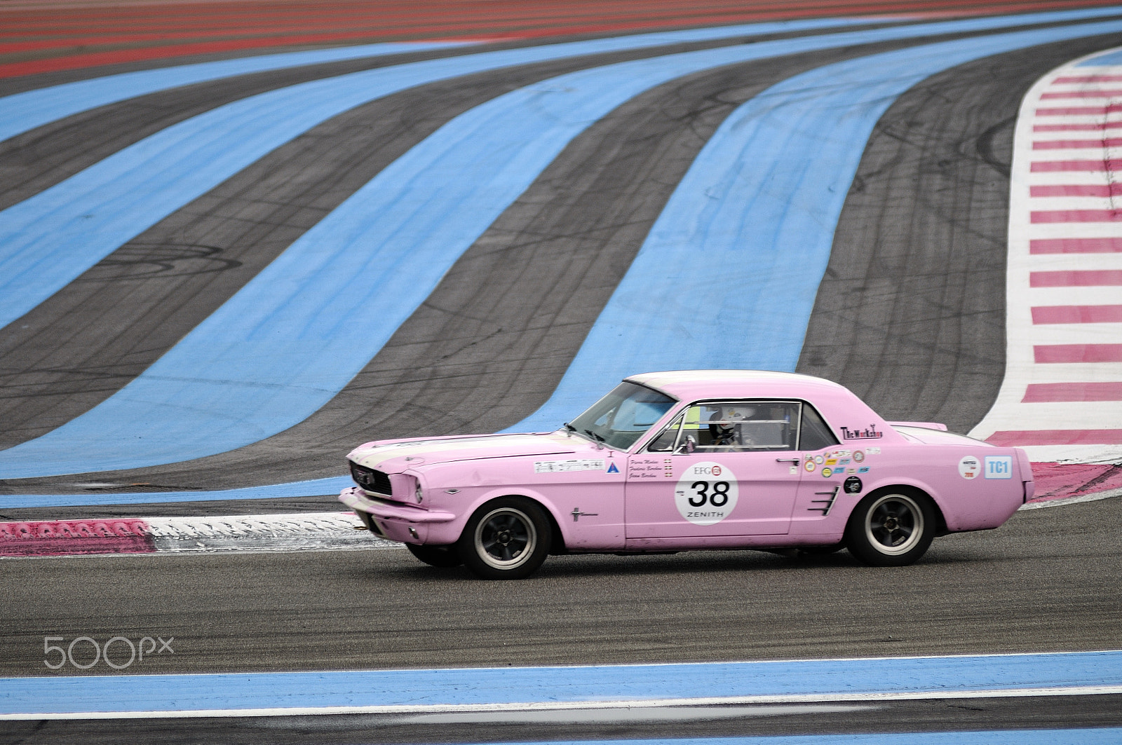 Nikon AF-Nikkor 80-200mm F2.8D ED sample photo. Pink panther photography