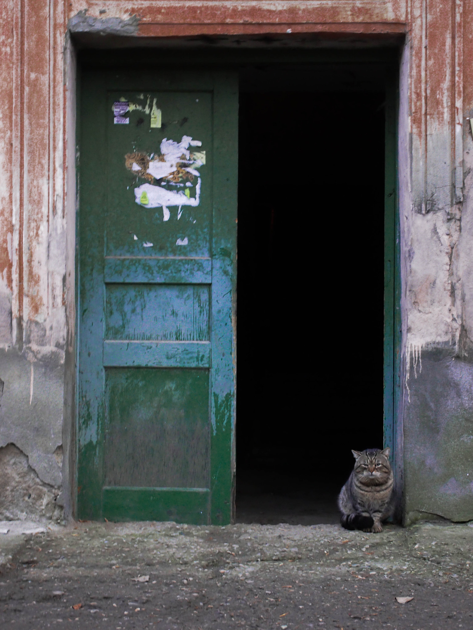 Olympus PEN E-PL3 sample photo. Cat and old house photography