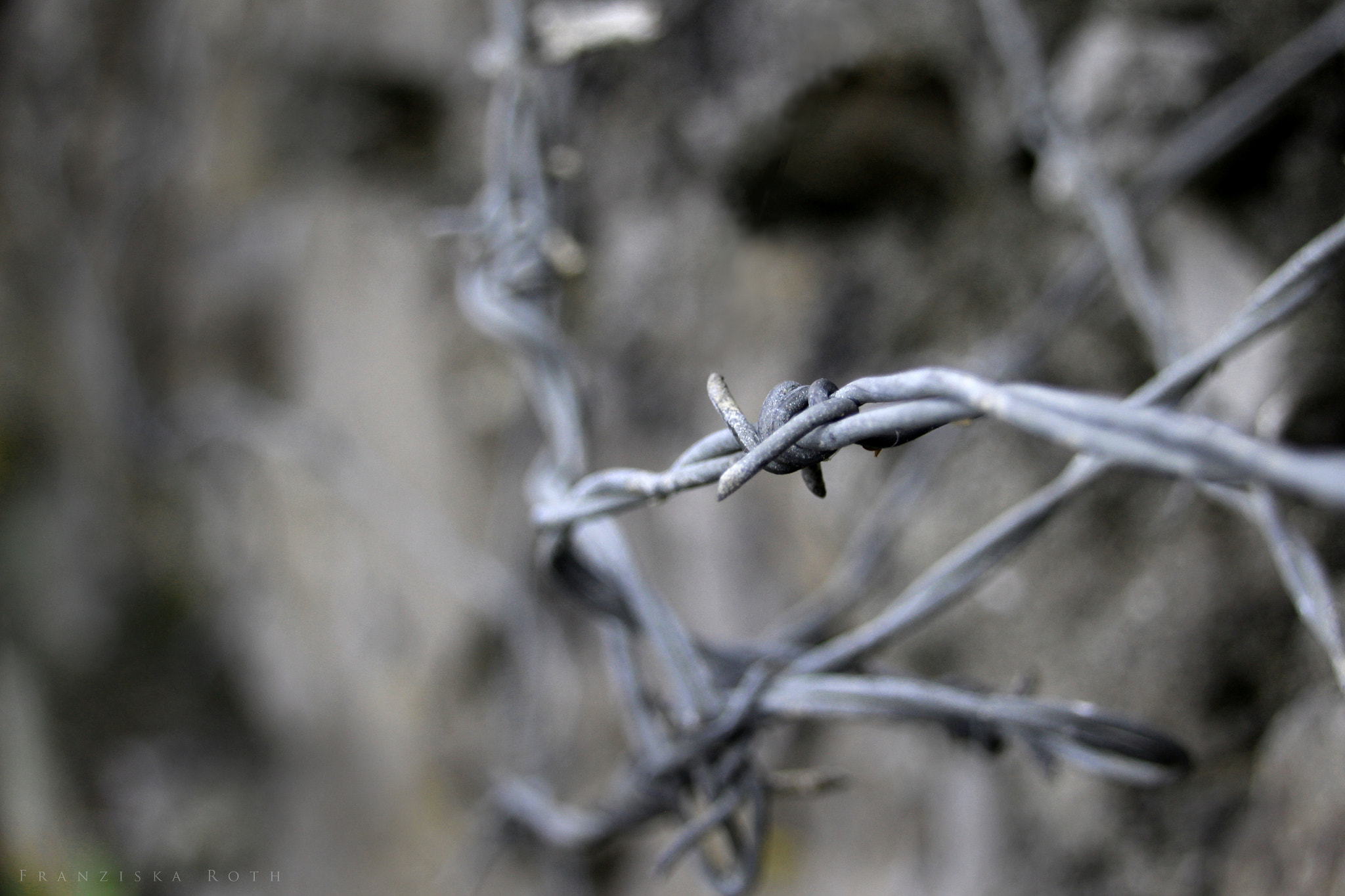 Sigma 18-250mm F3.5-6.3 DC OS HSM sample photo. Guilty photography