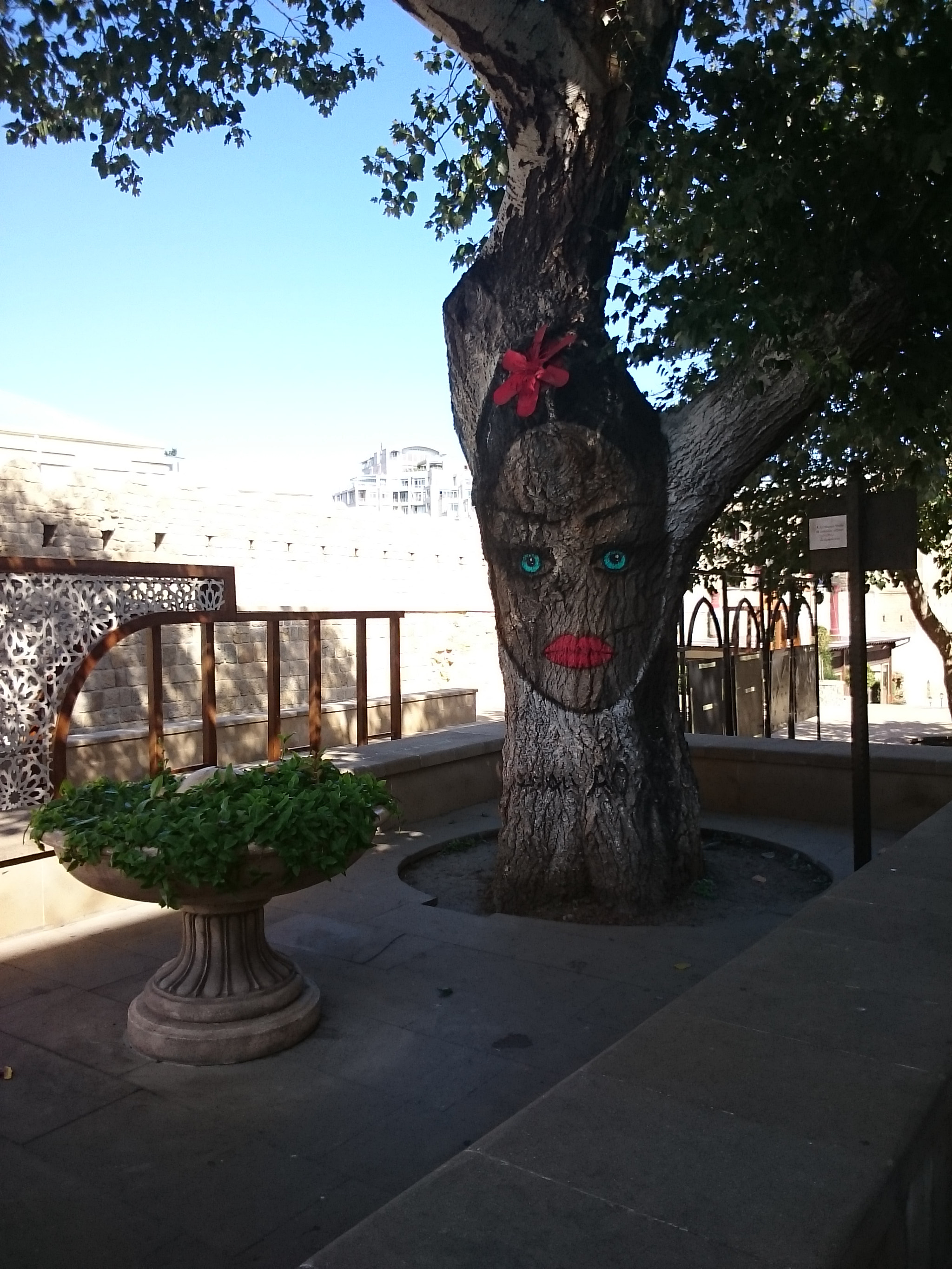 Sony Xperia Z Ultra sample photo. Tree picture photography