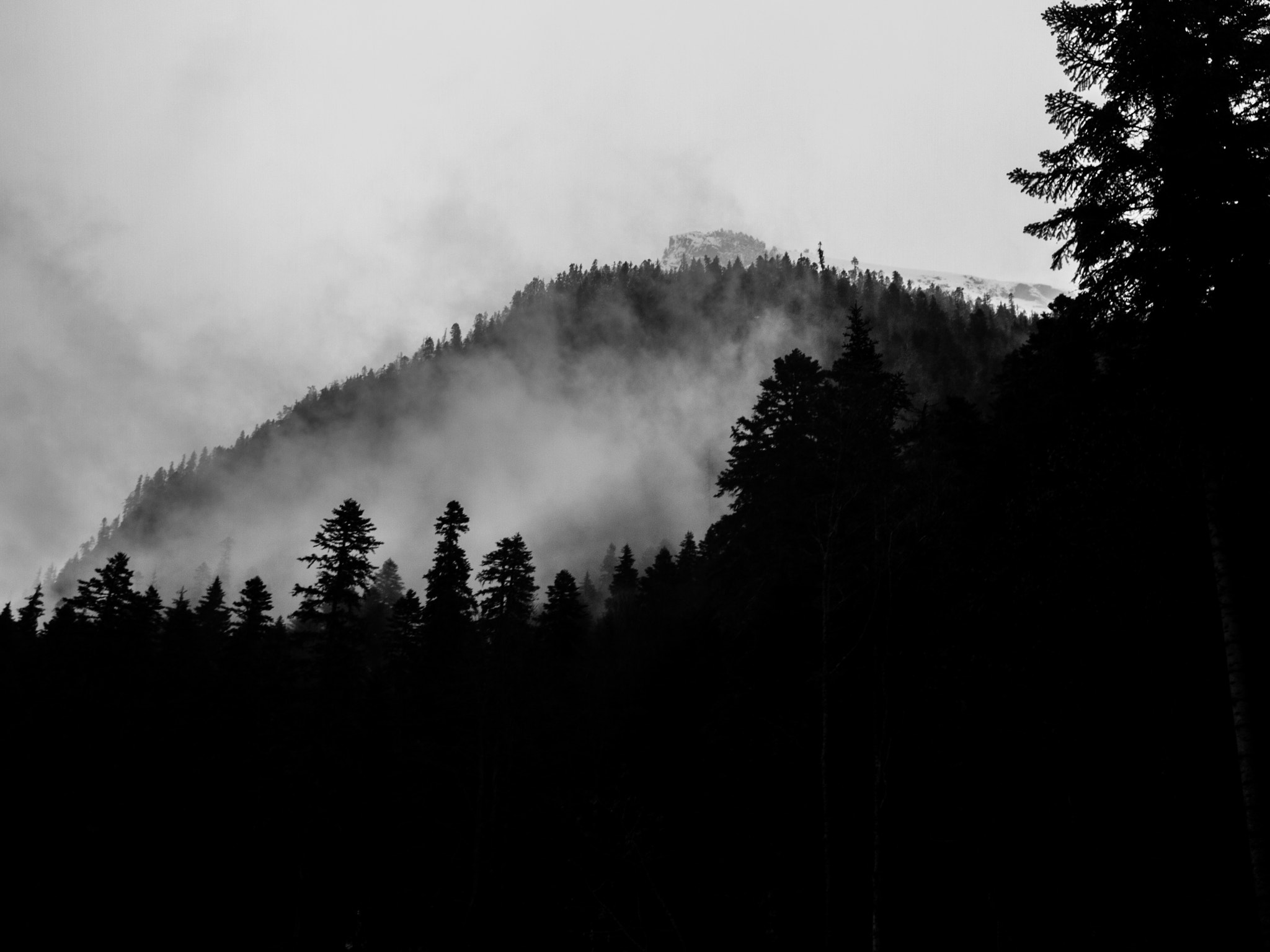 Olympus PEN E-PL3 sample photo. Dombay, karachay-cherkess republic photography