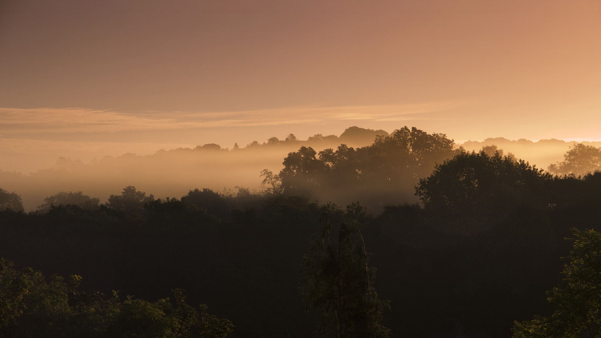 Canon EOS 60D + Sigma 18-125mm f/3.5-5.6 DC IF ASP sample photo. Misty morning photography