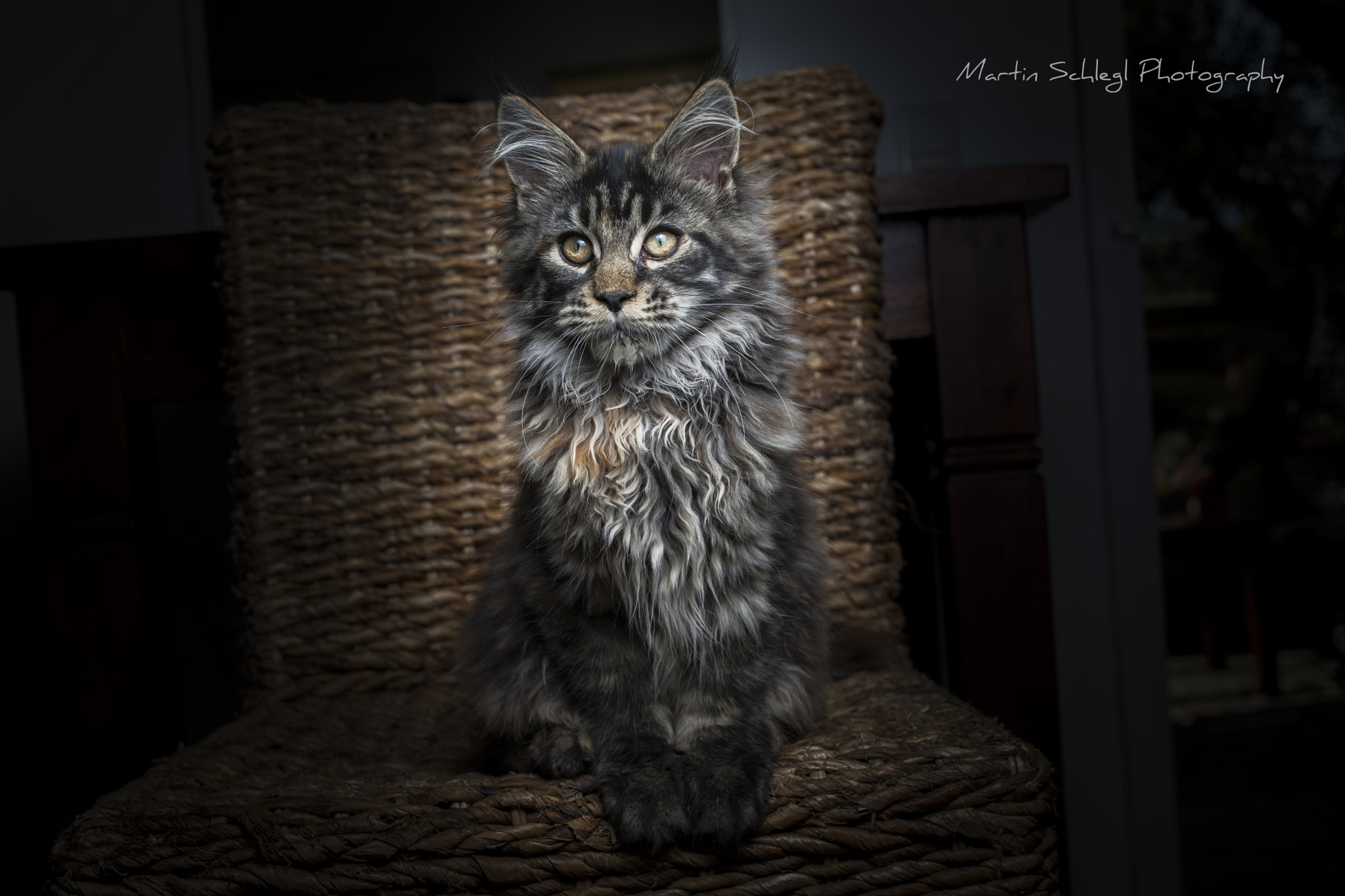 Canon EOS-1Ds Mark III sample photo. 13 wochen photography