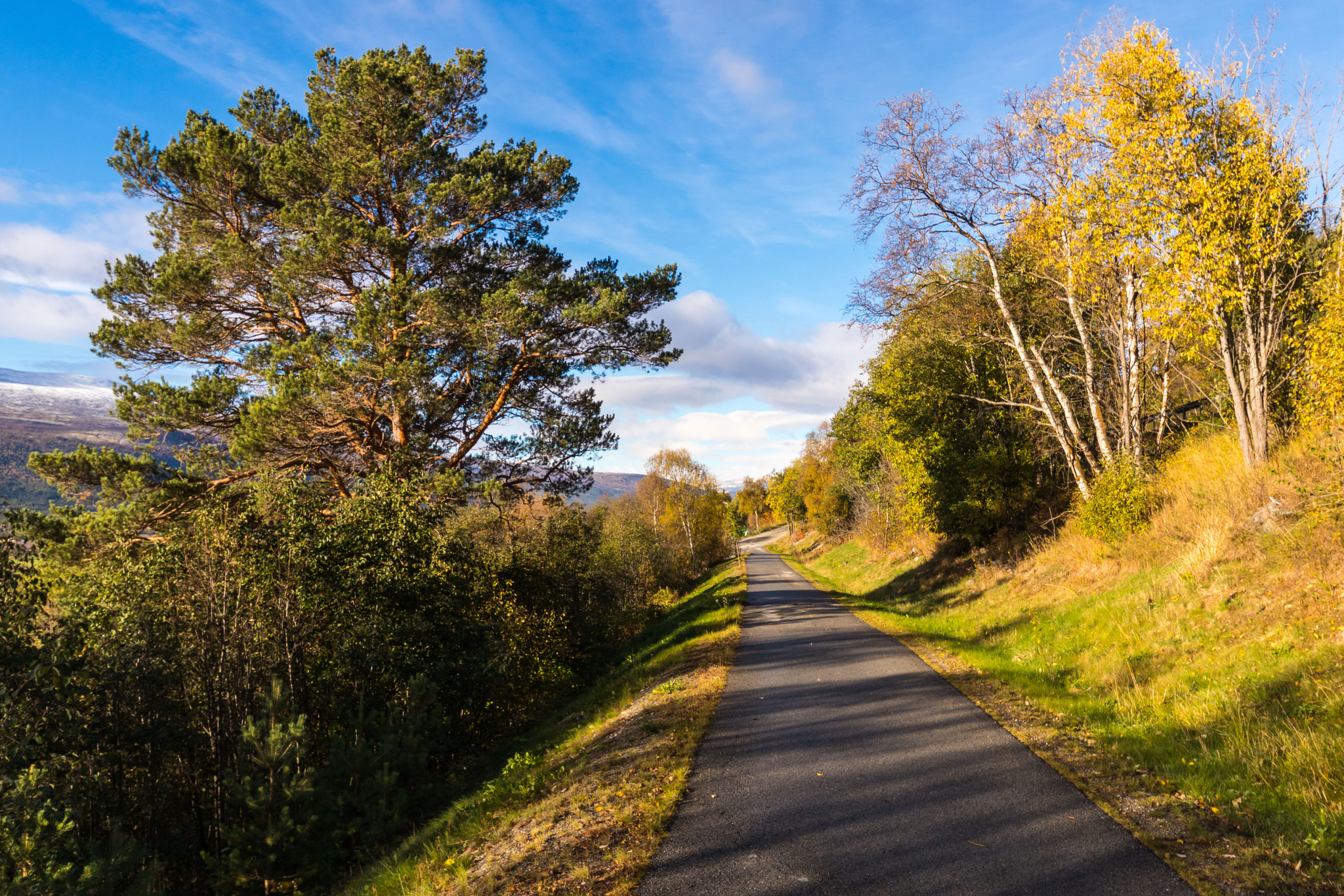 Canon EOS 80D sample photo. The bike road photography