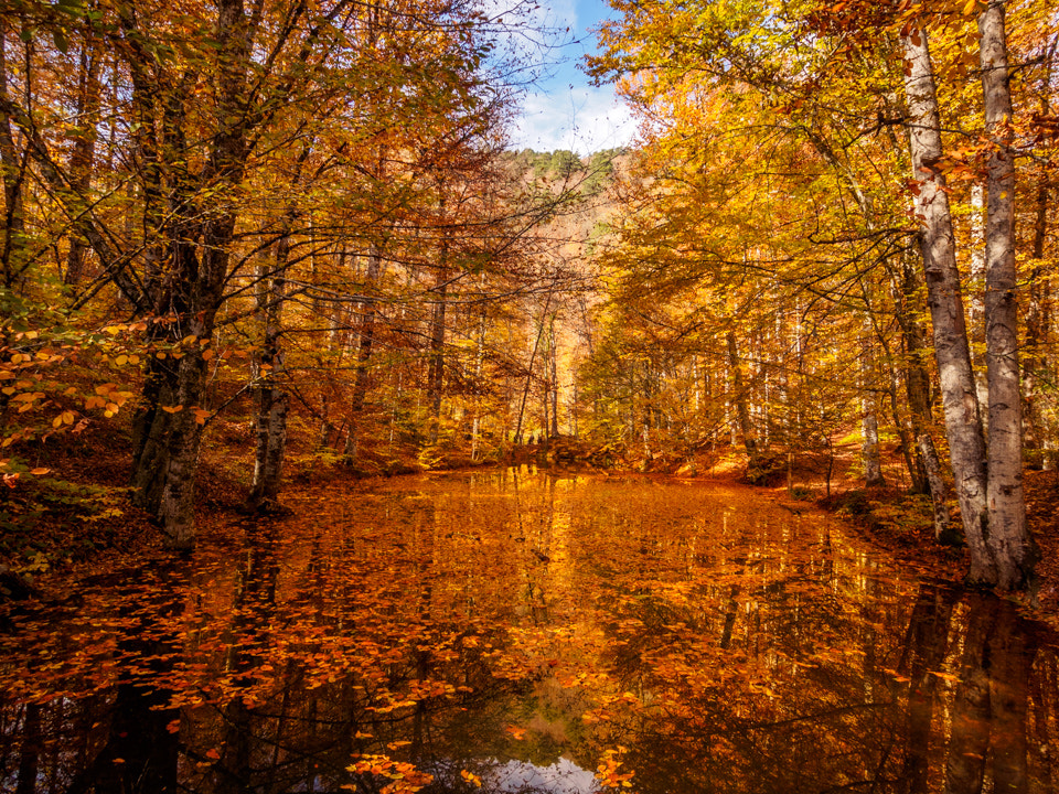 Olympus OM-D E-M5 + OLYMPUS M.9-18mm F4.0-5.6 sample photo. Bolu yedi göller turkey lake photography