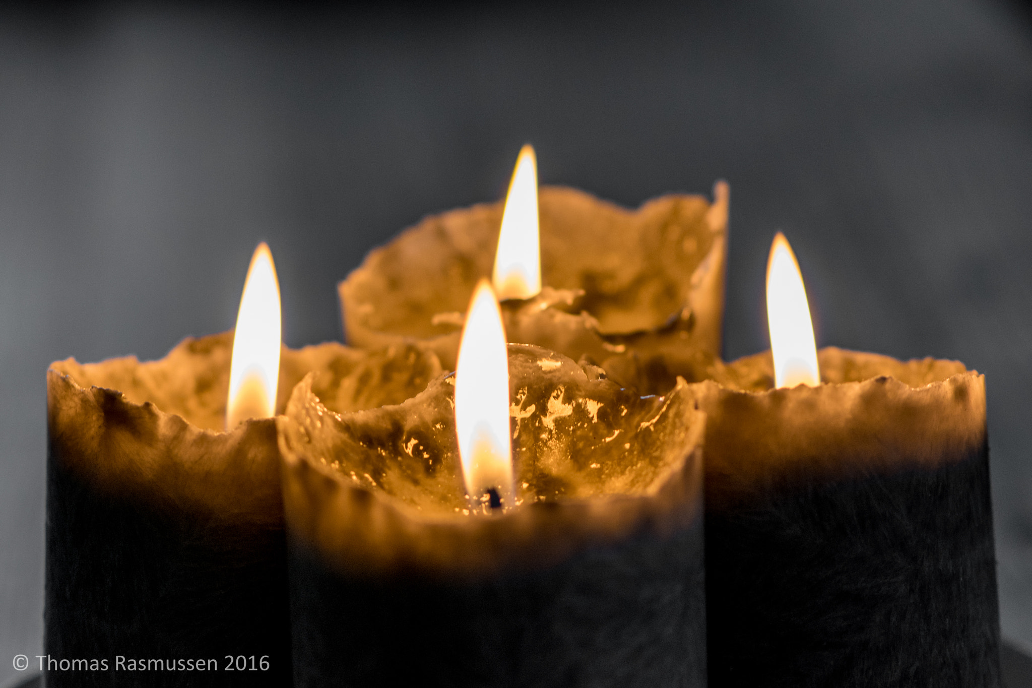 Nikon AF-S Micro-Nikkor 105mm F2.8G IF-ED VR sample photo. On a cold autumn day... photography