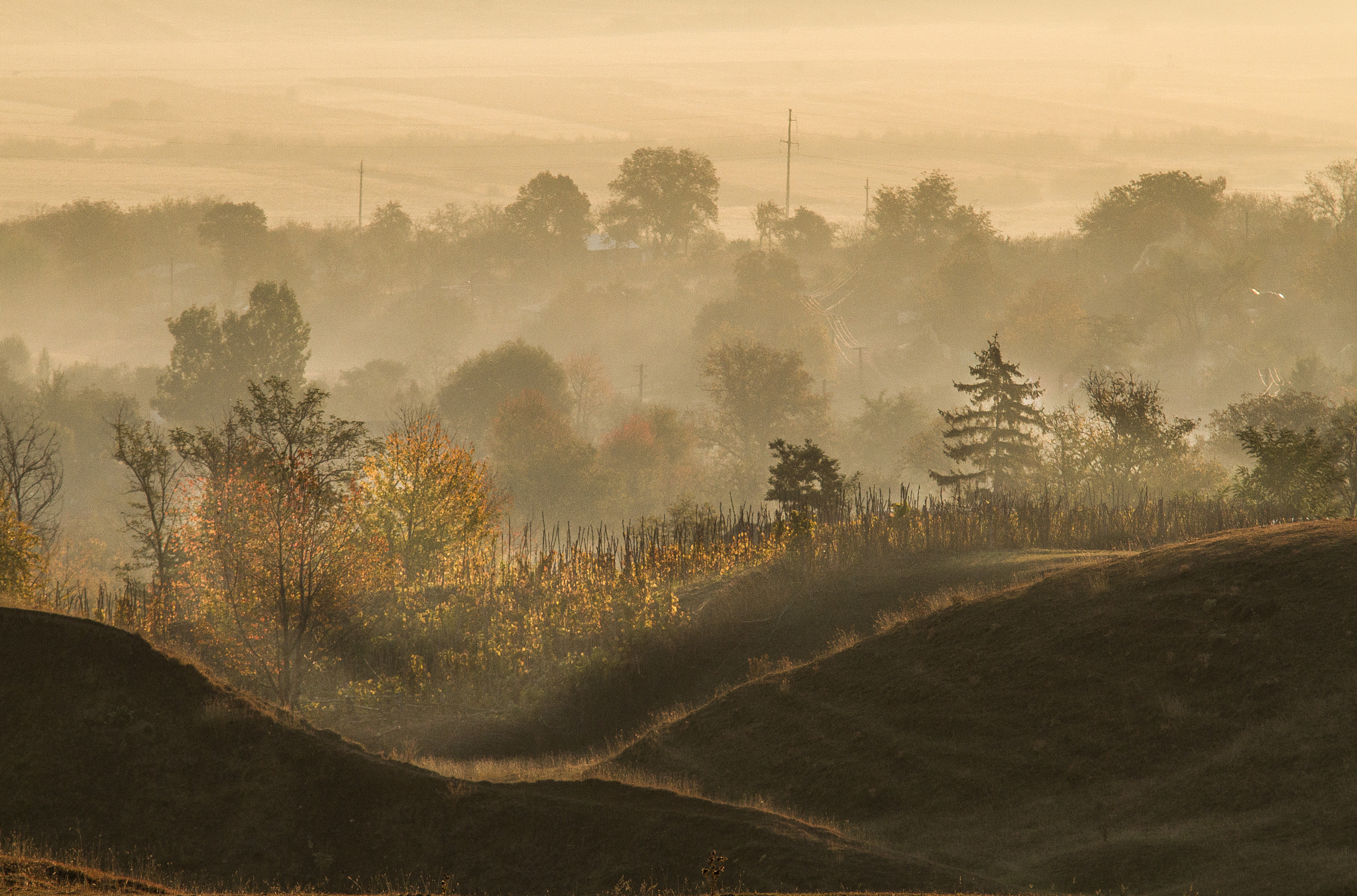 Sigma 70-200mm F2.8 EX DG OS HSM sample photo. Autumn tale photography