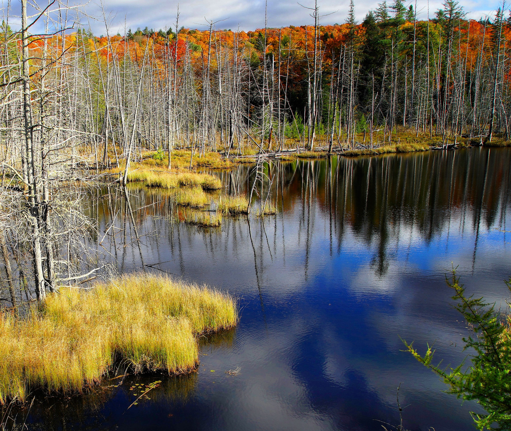 Sony a7 sample photo. Blue reflections photography