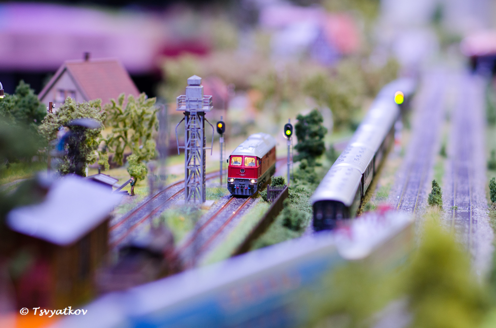 ZEISS Planar T* 85mm F1.4 sample photo. Loko photography