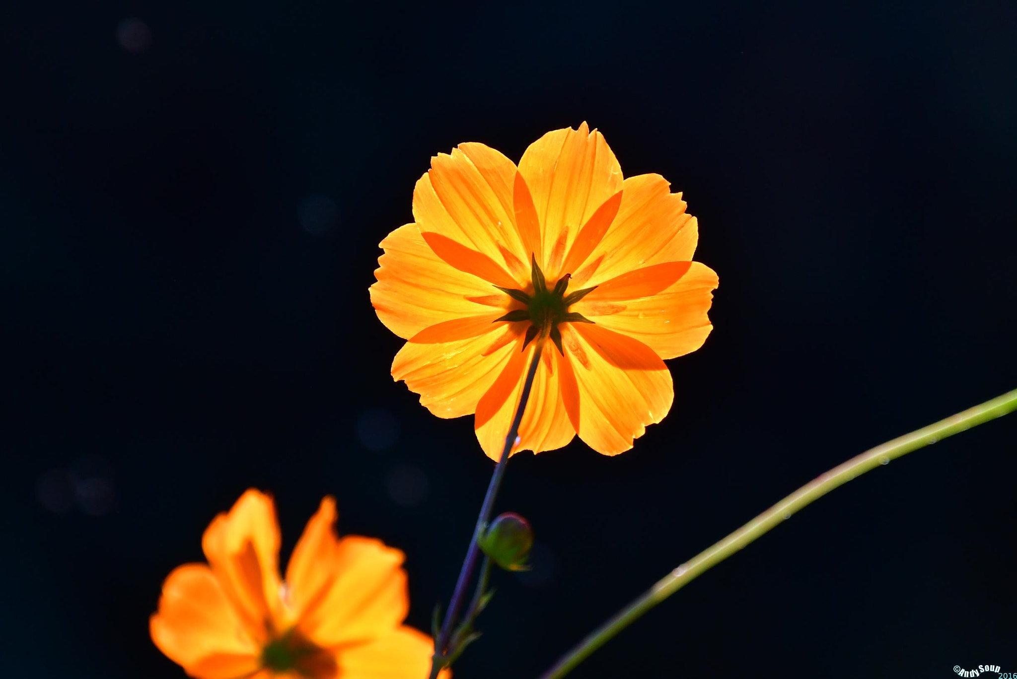 Nikon D500 sample photo. Pass through photography