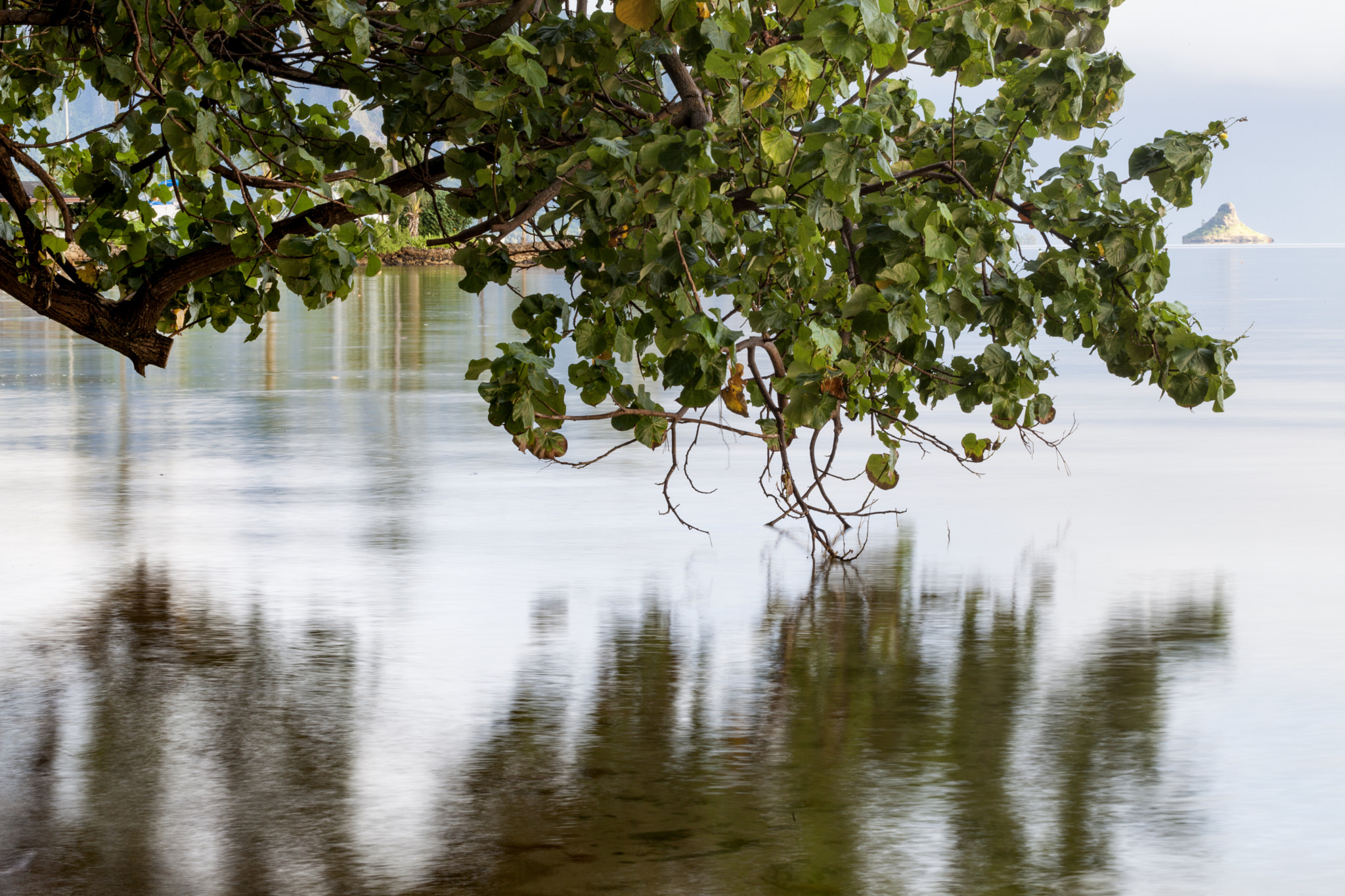 Canon EF 100mm F2.8L Macro IS USM sample photo. When the land meets to sea photography