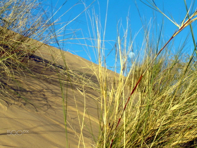 Sony DSC-P73 sample photo. Full moon on roaring white kalahari dunes photography