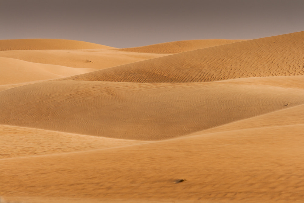 Canon EOS 400D (EOS Digital Rebel XTi / EOS Kiss Digital X) sample photo. Liwa desert photography