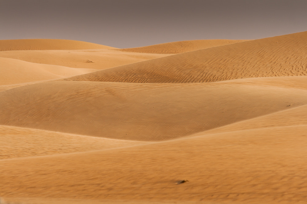 Canon EF 70-300mm F4-5.6 IS USM sample photo. Liwa desert photography