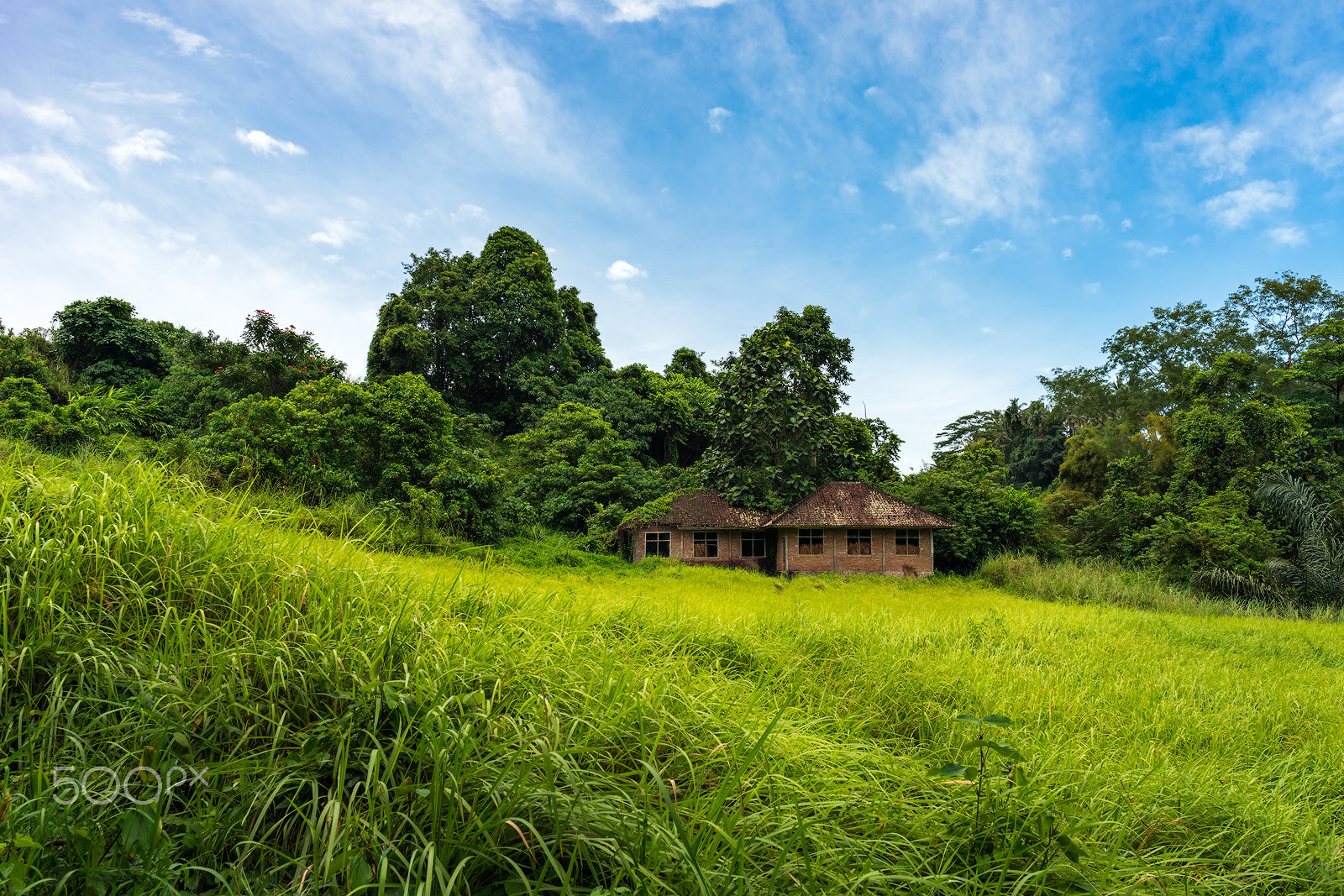 Sony a7 II sample photo. Two old houses in fresh green valley photography