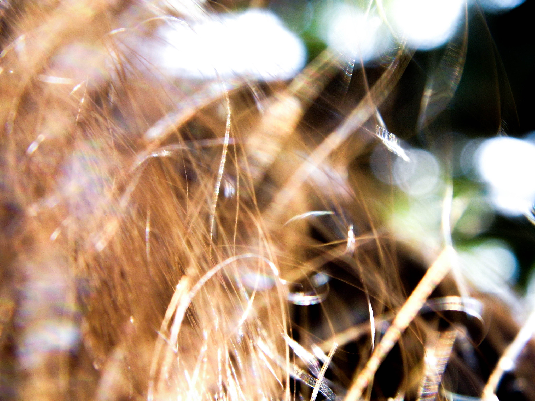 Benq GH600 sample photo. The touch photography