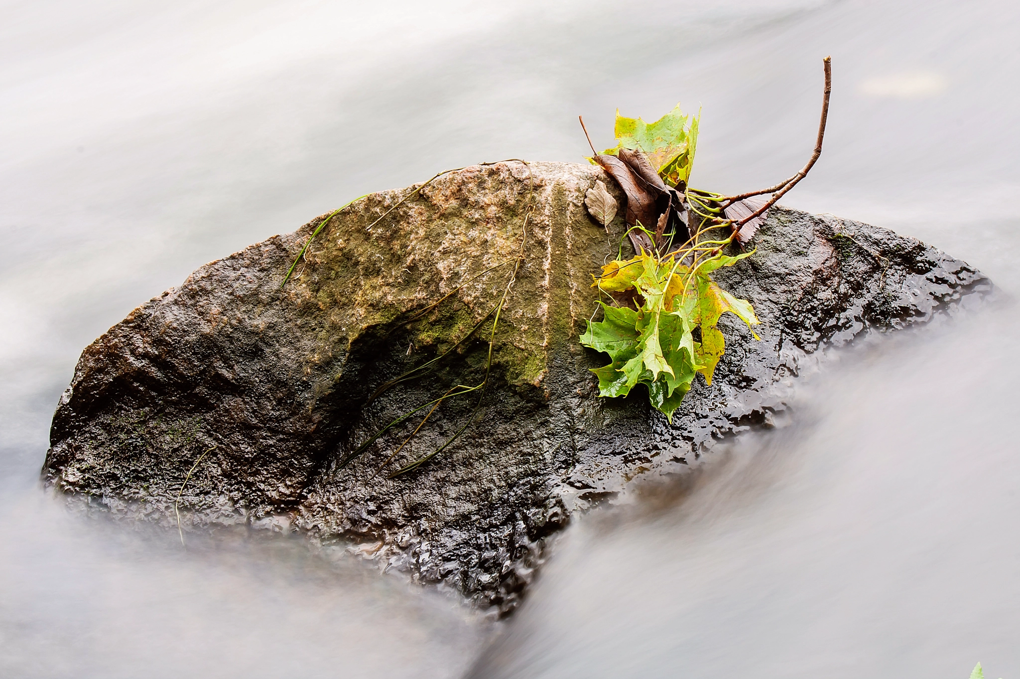 Canon EOS 40D sample photo. Autumn`s run photography