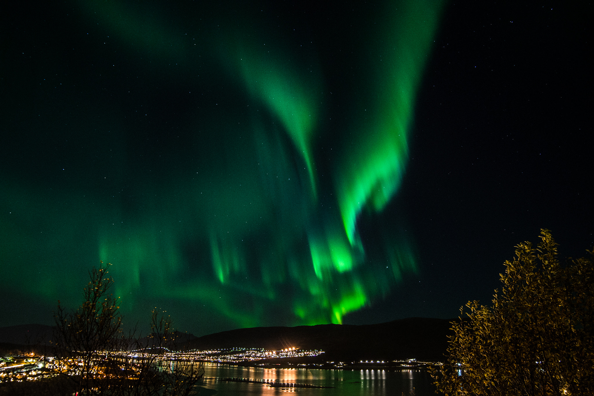 Samyang 14mm F2.8 ED AS IF UMC sample photo. Aurora and stars photography