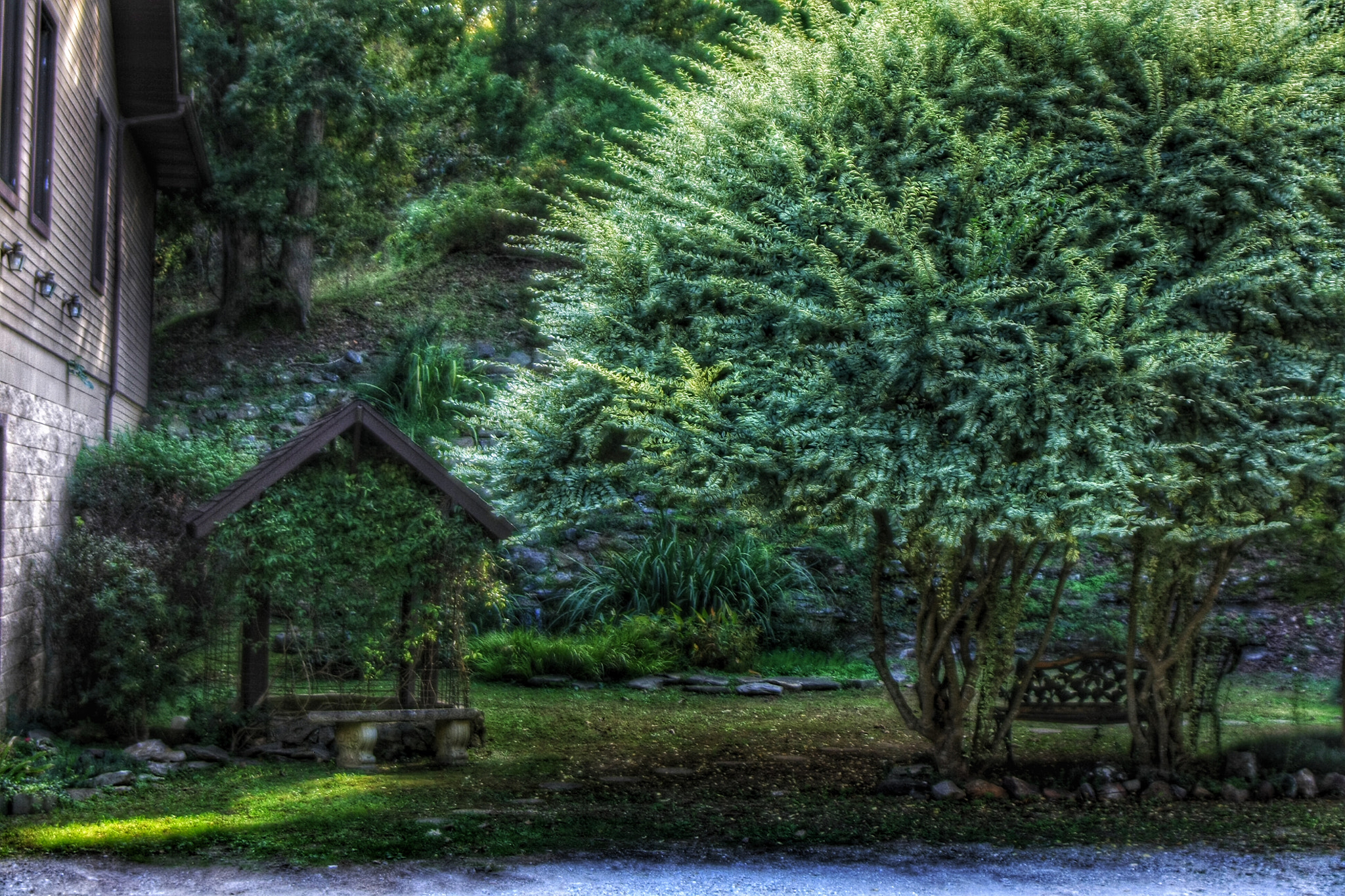 Tamron AF 28-200mm F3.8-5.6 XR Di Aspherical (IF) Macro sample photo. Bear springs photography