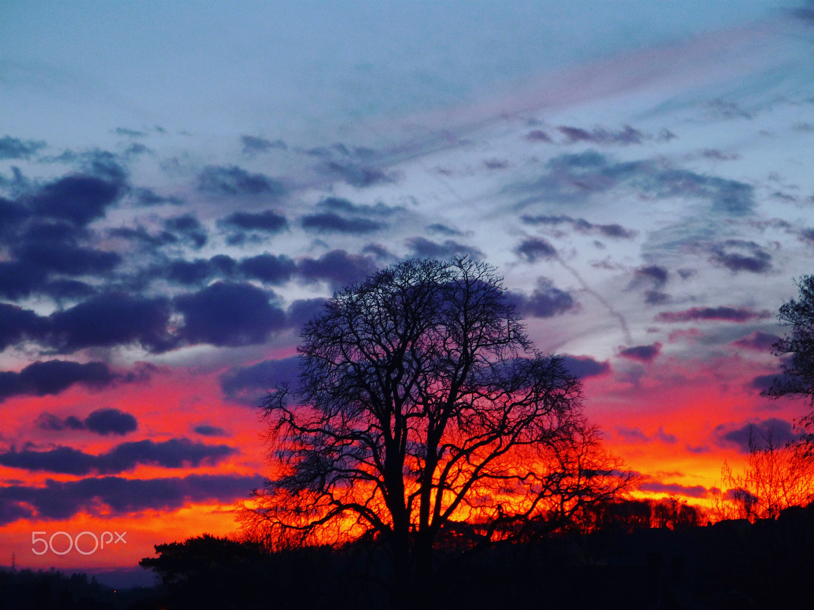 Panasonic Lumix DMC-FS3 sample photo. Tree in the sunset photography